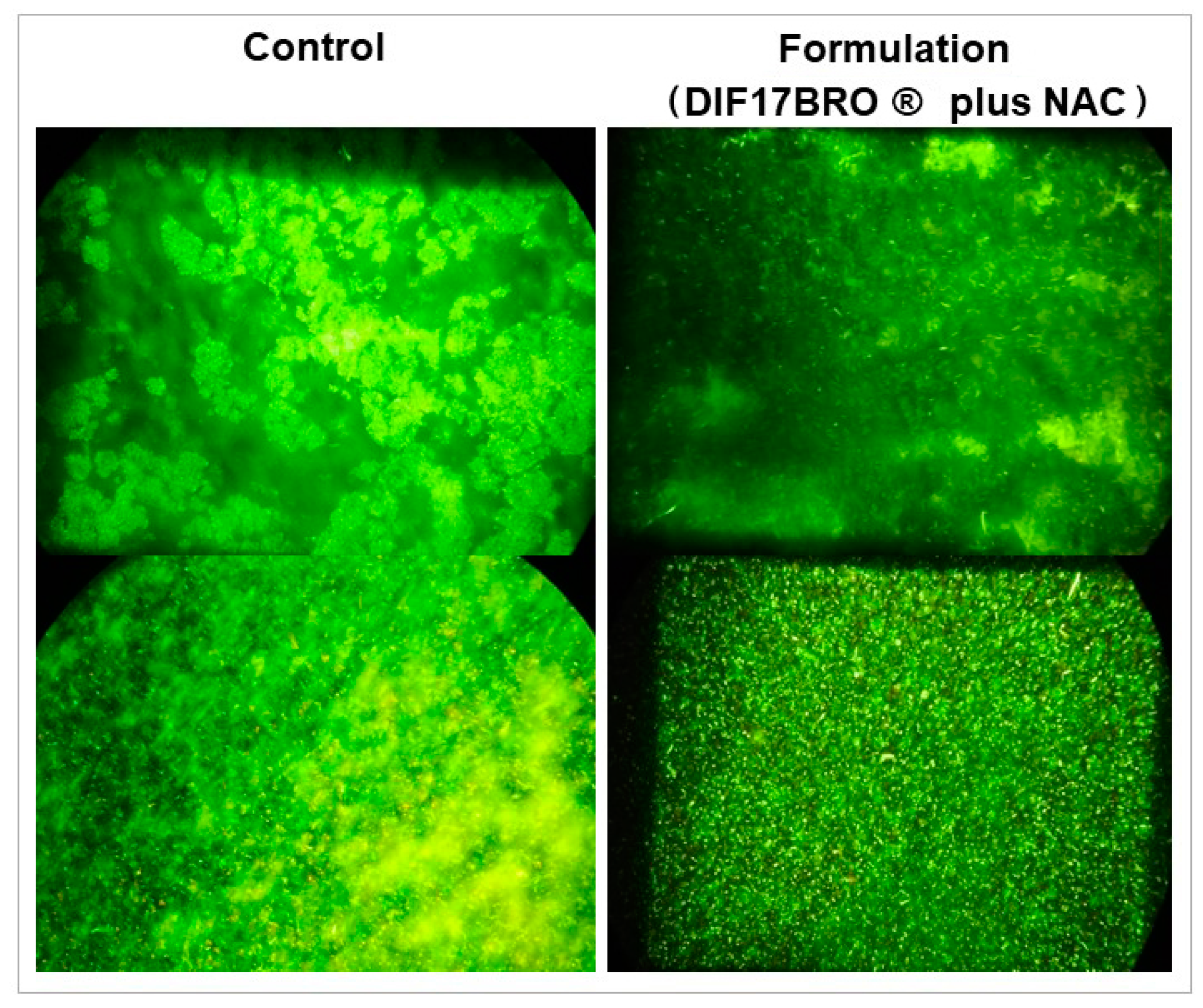 Antibiotics 13 00985 g005 Antibiotics 13 00985 g005