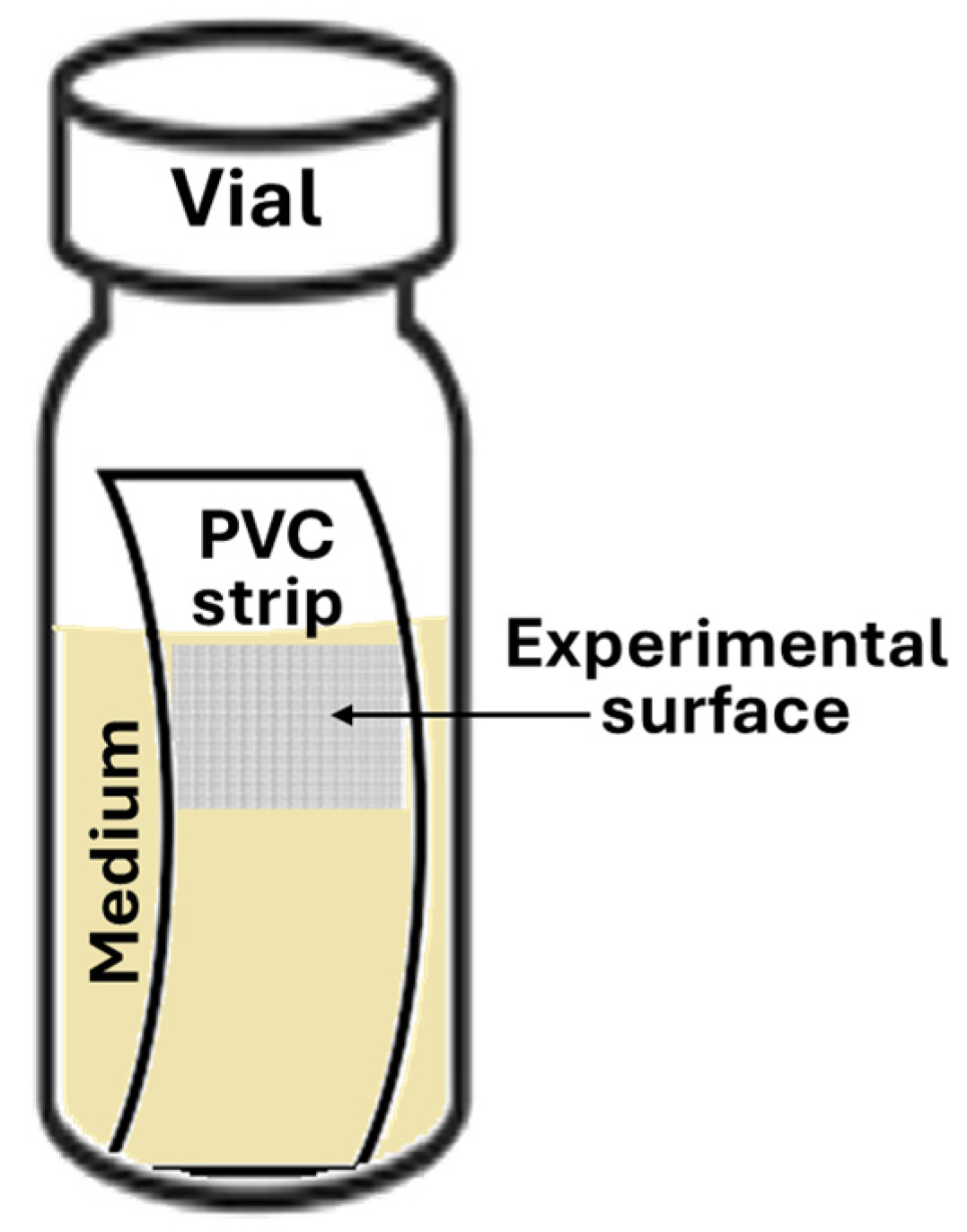 Antibiotics 13 00987 g007