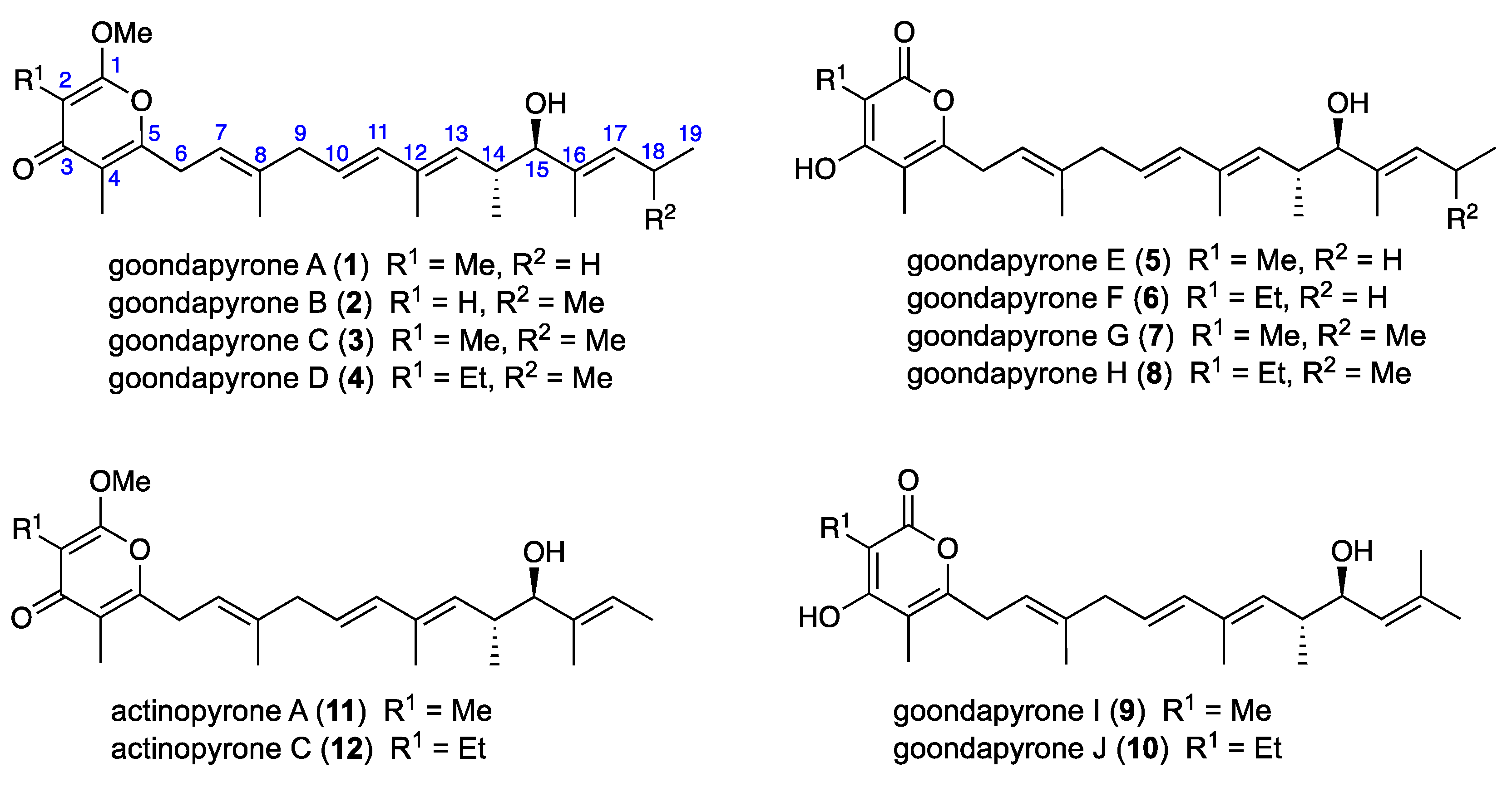 Antibiotics 13 00989 g001