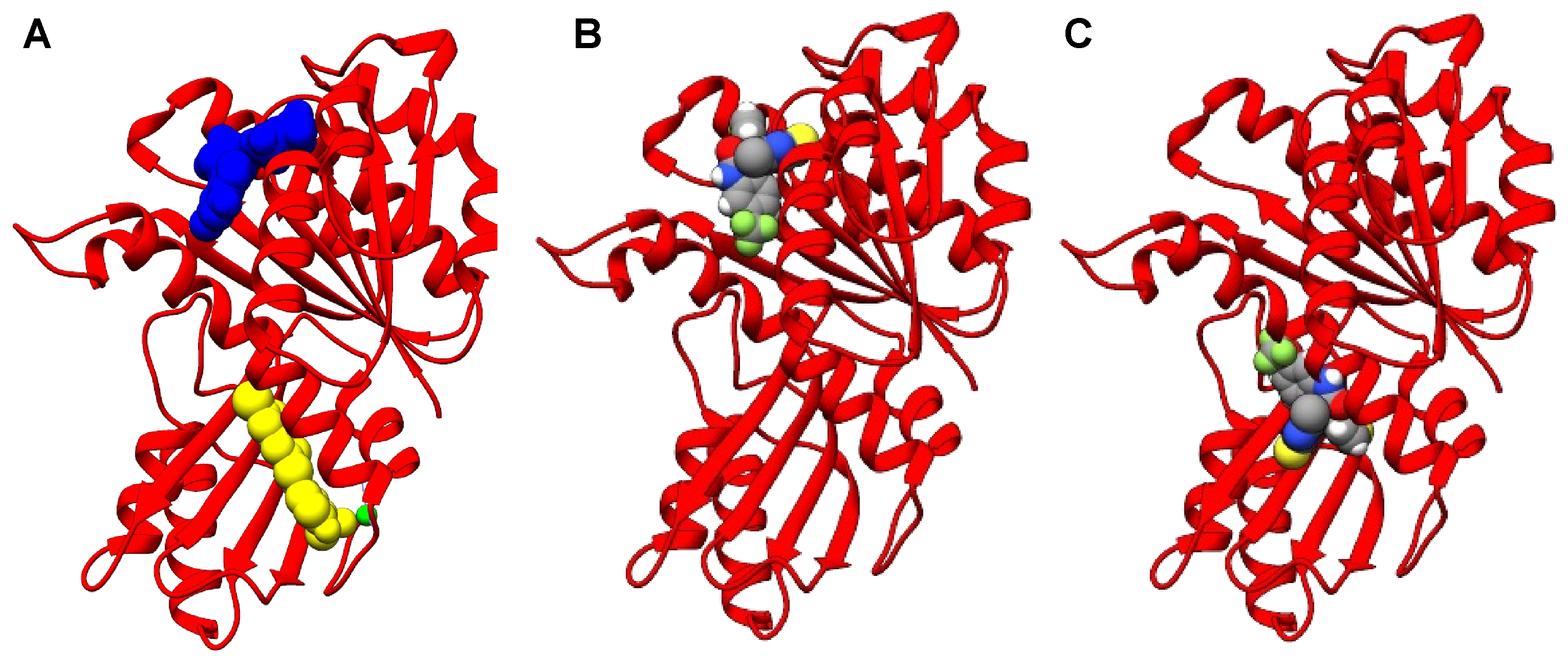 Antibiotics 13 00992 g002