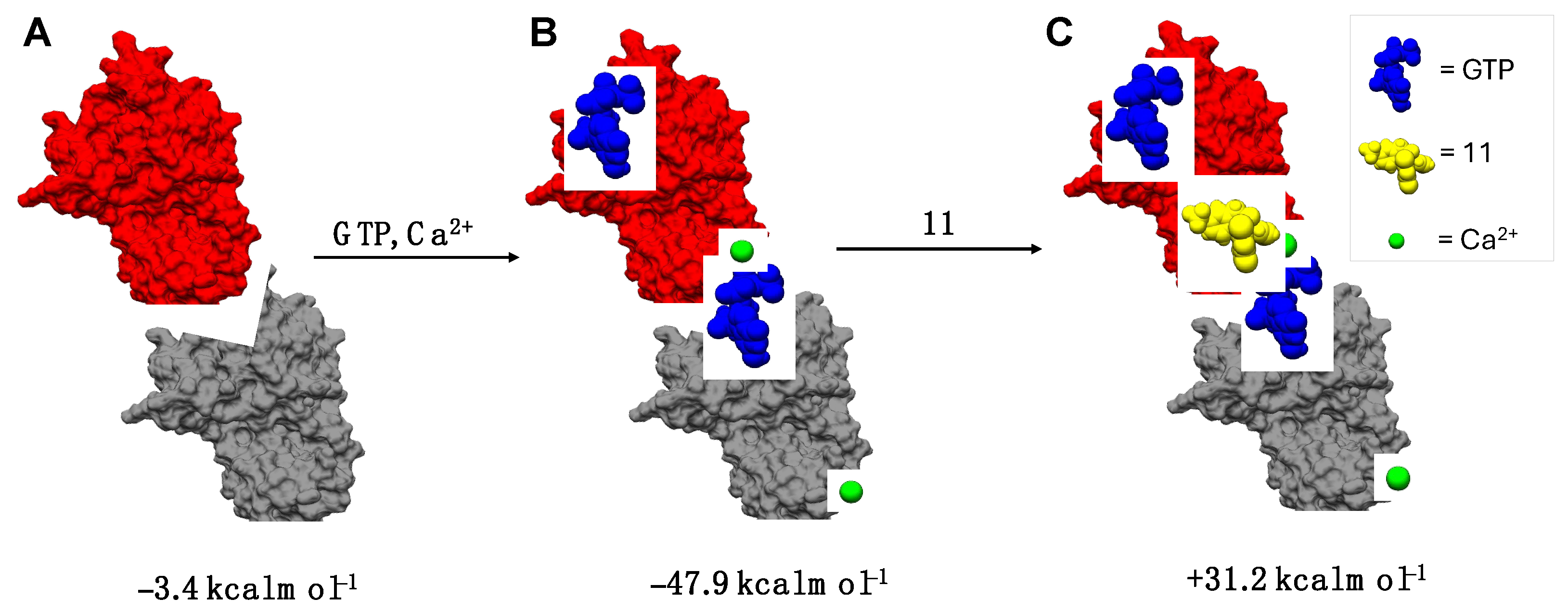 Antibiotics 13 00992 g004