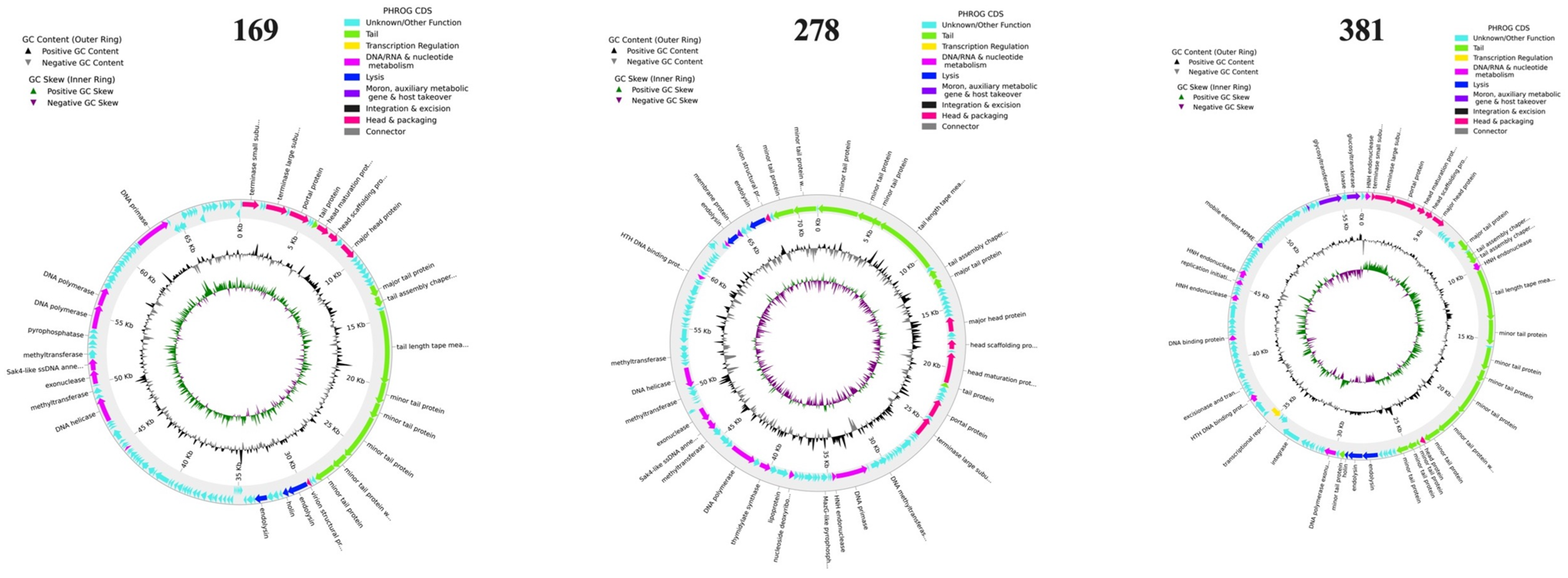 Antibiotics 13 01009 g007