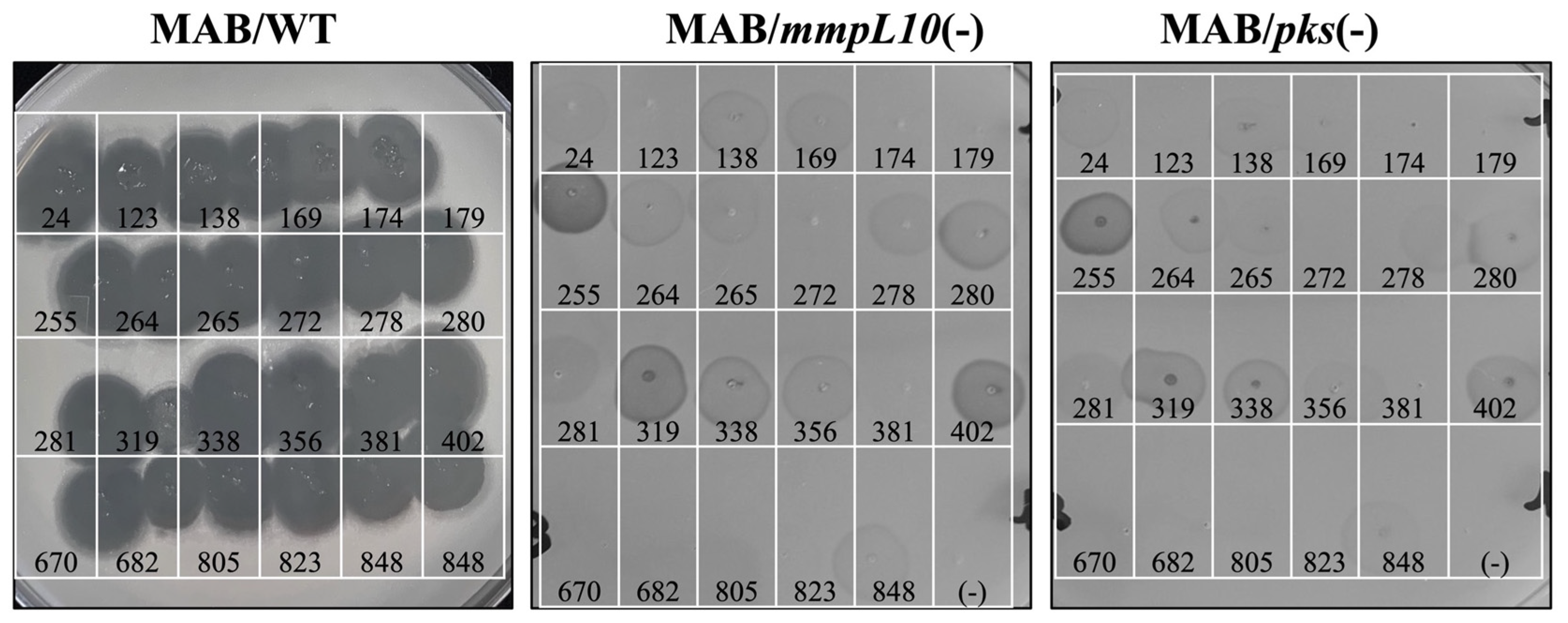 Antibiotics 13 01009 g008