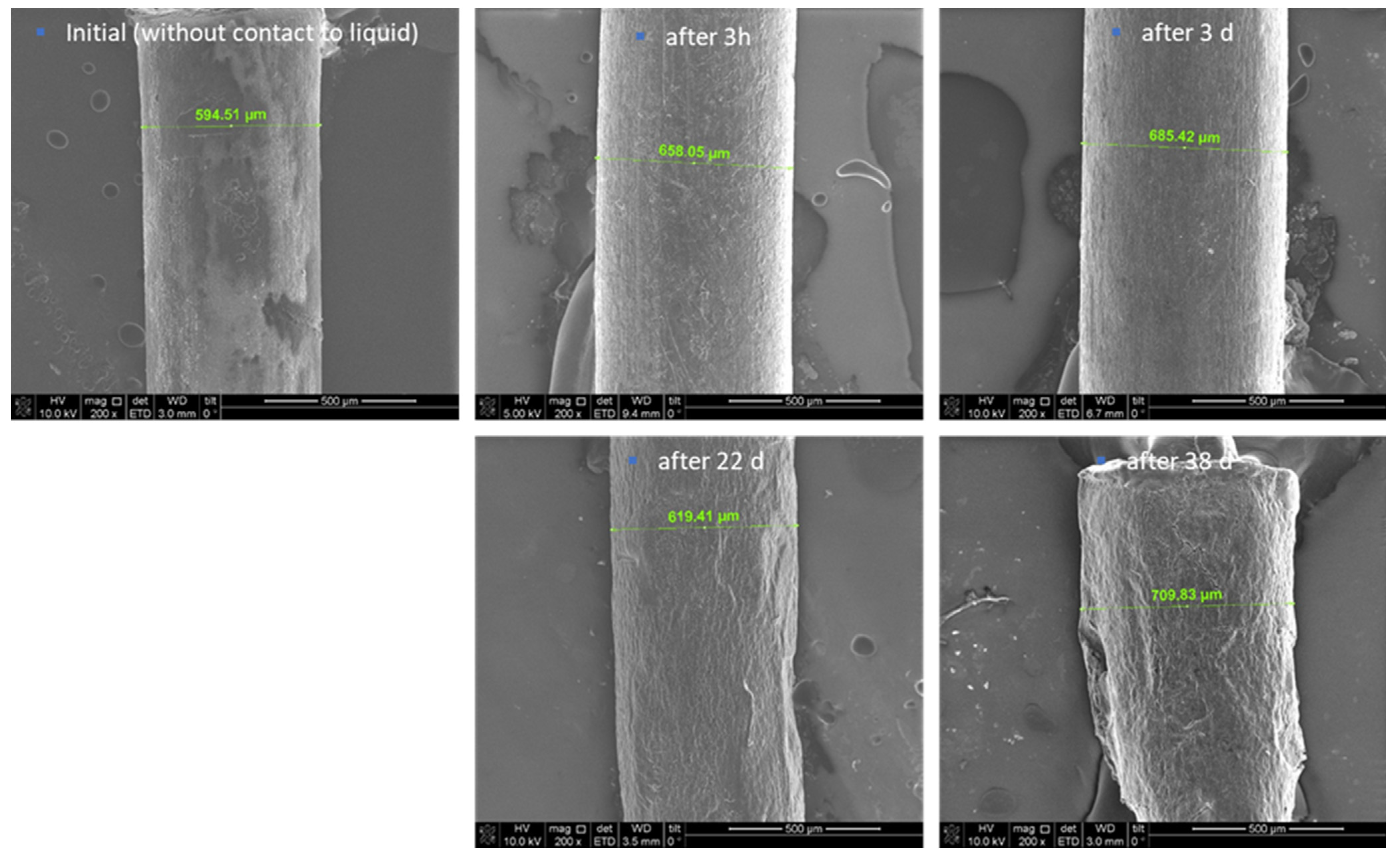Antibiotics 13 01012 g002