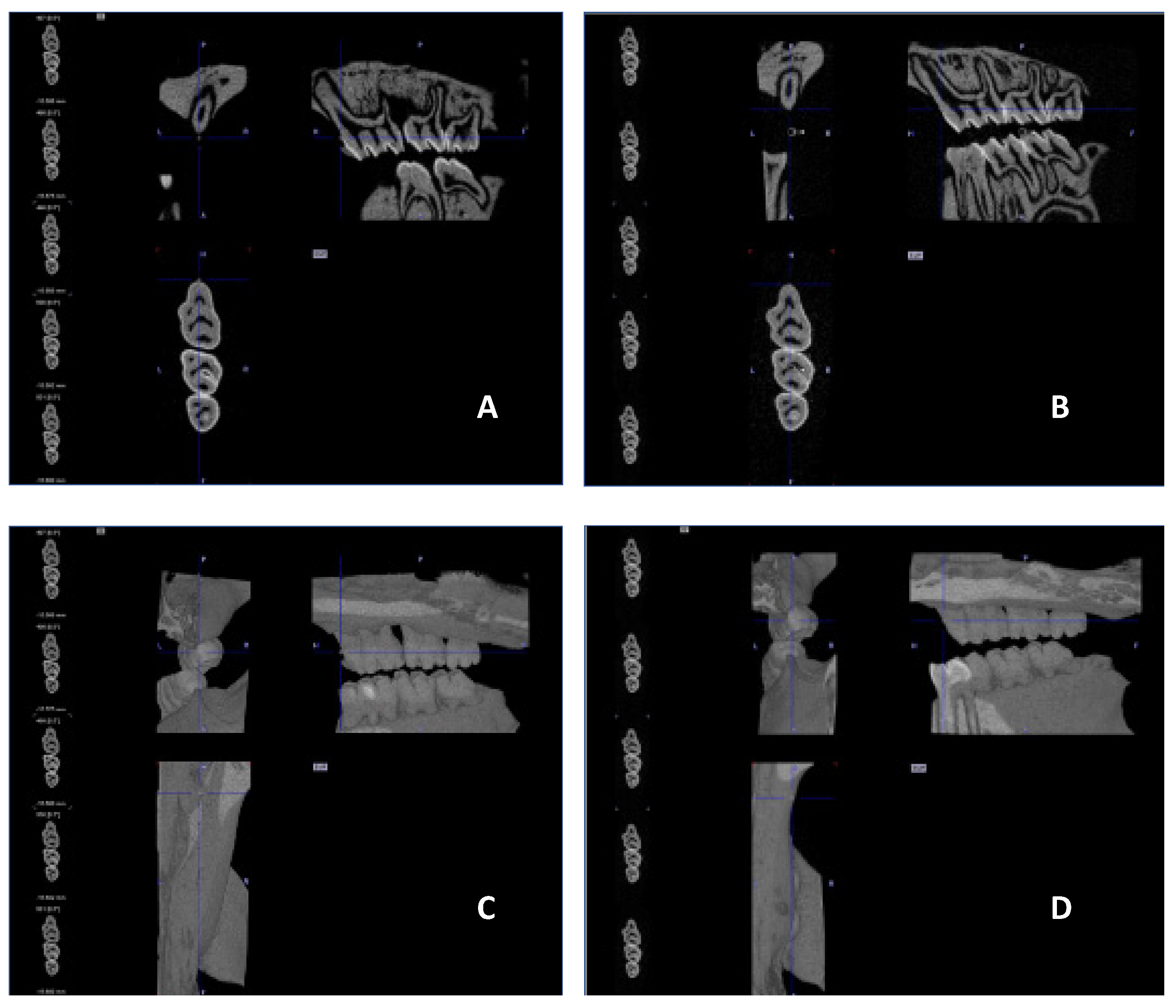 Antibiotics 13 01012 g009