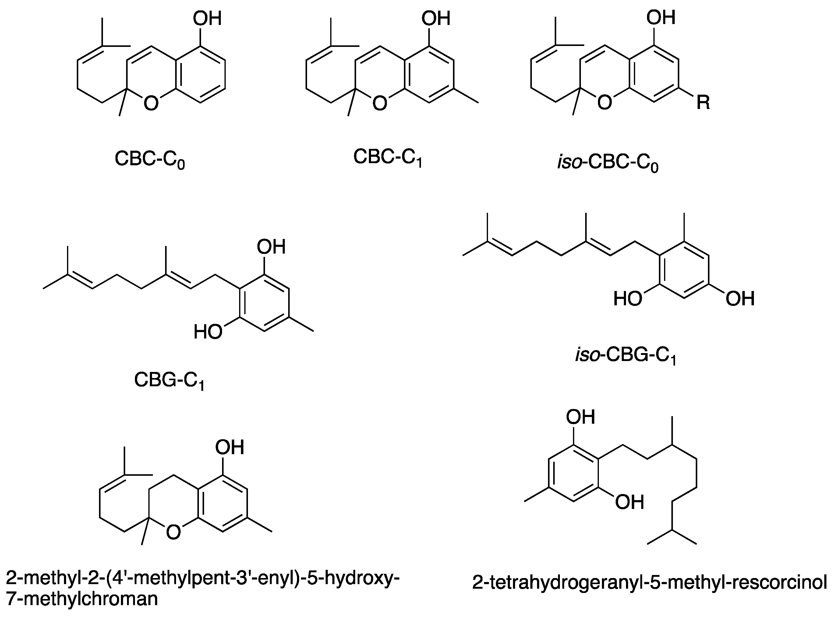 Antibiotics 13 01023 g007