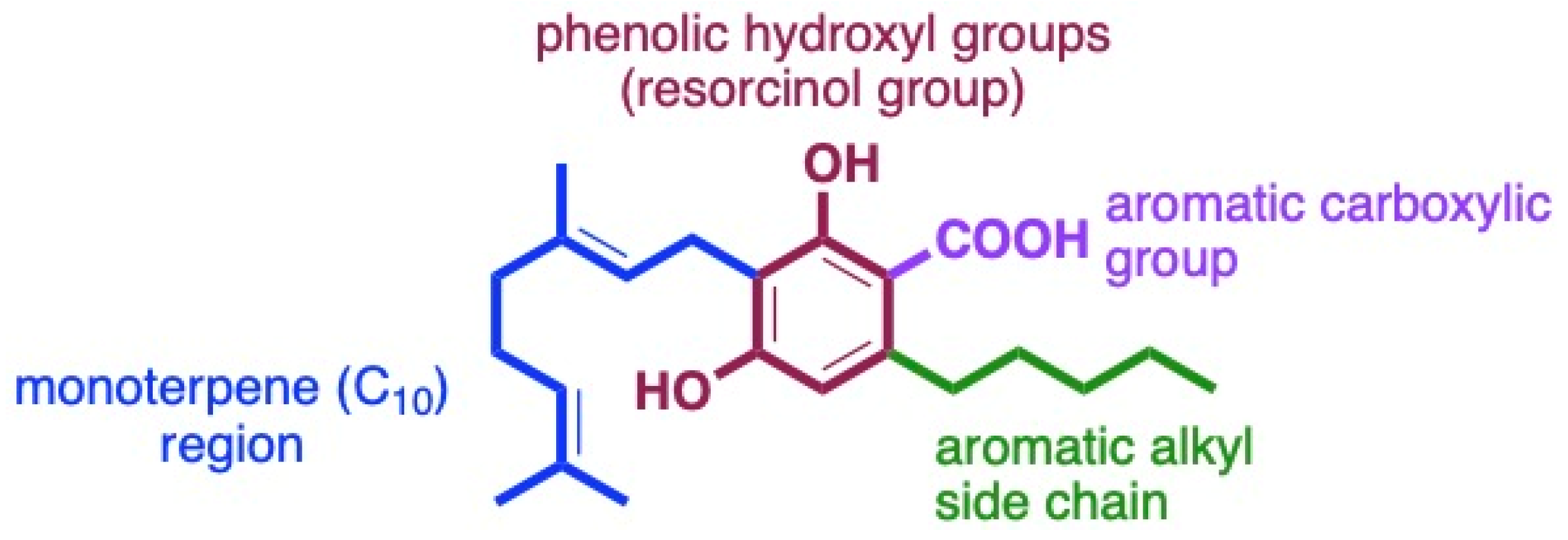 Antibiotics 13 01023 g009