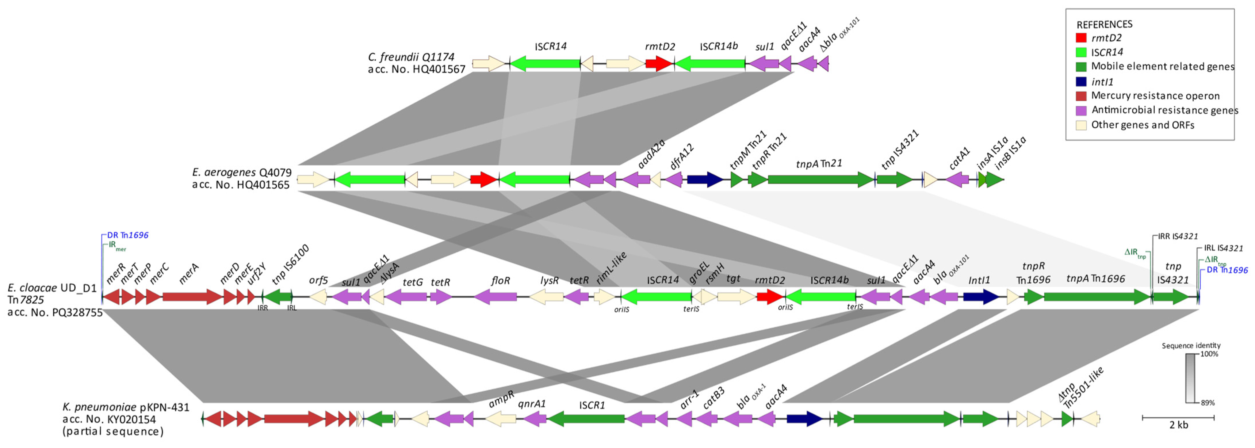 Antibiotics 13 01029 g002
