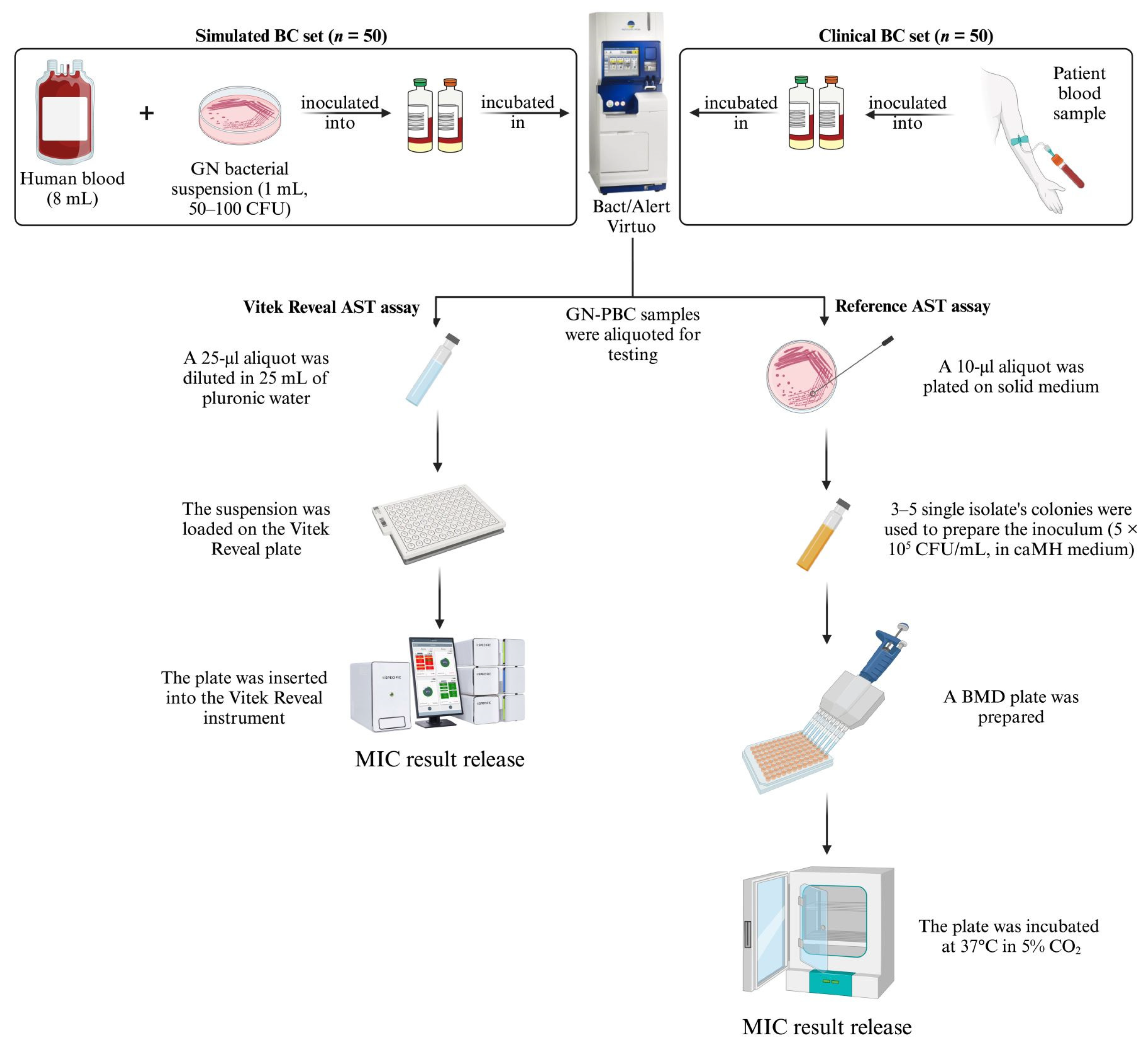 Antibiotics 13 01058 g002