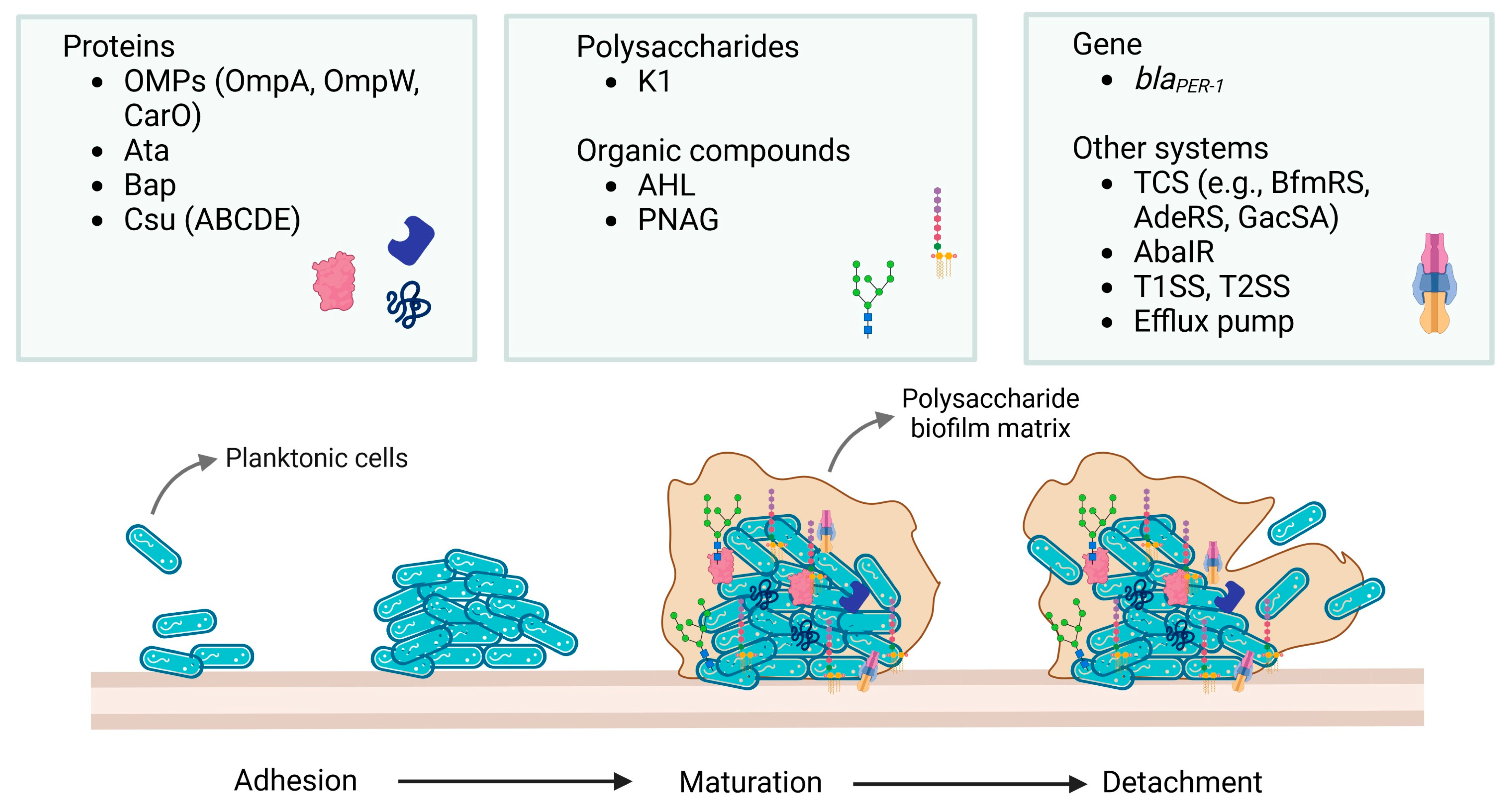 Antibiotics 13 01064 g001