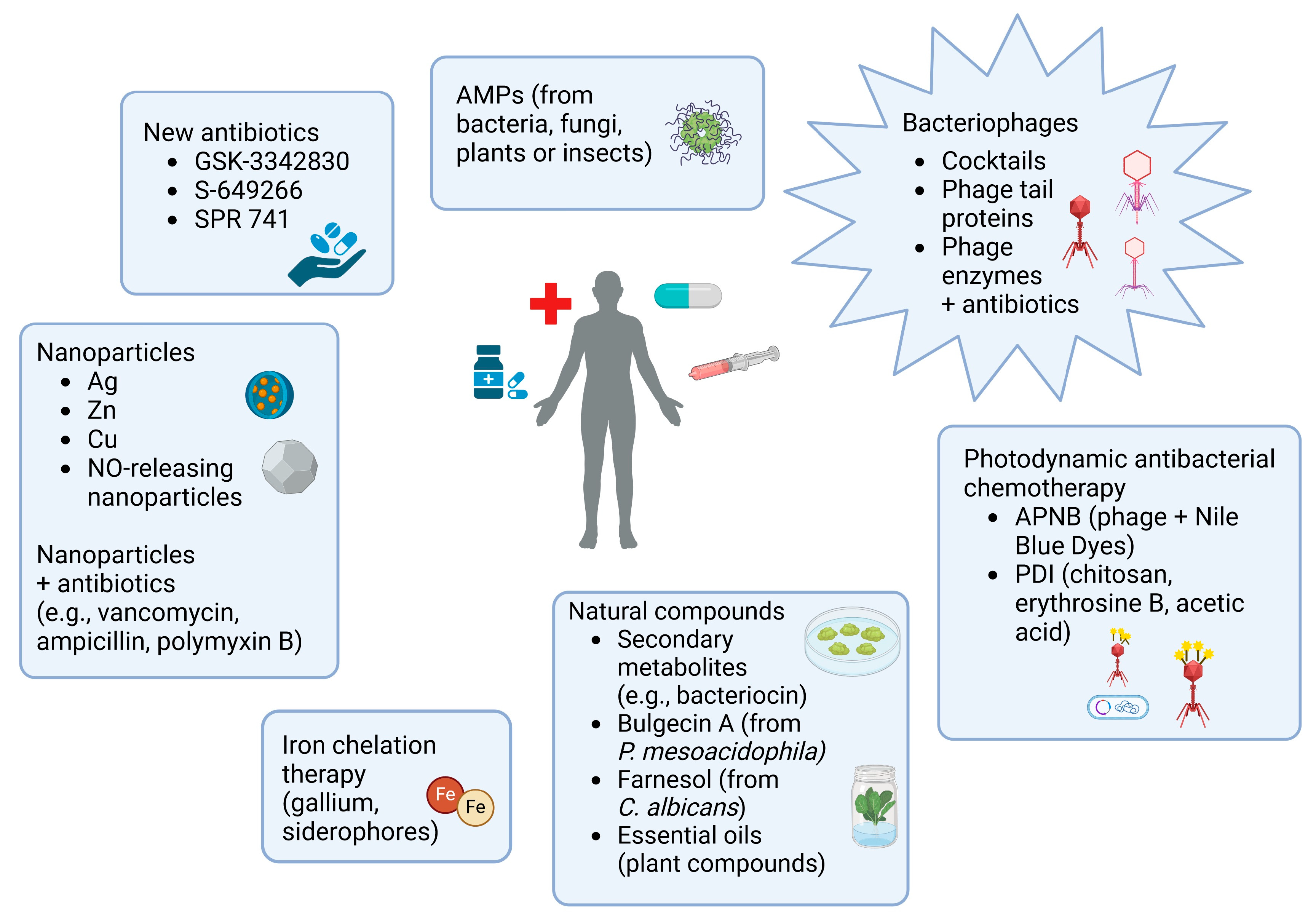 Antibiotics 13 01064 g002