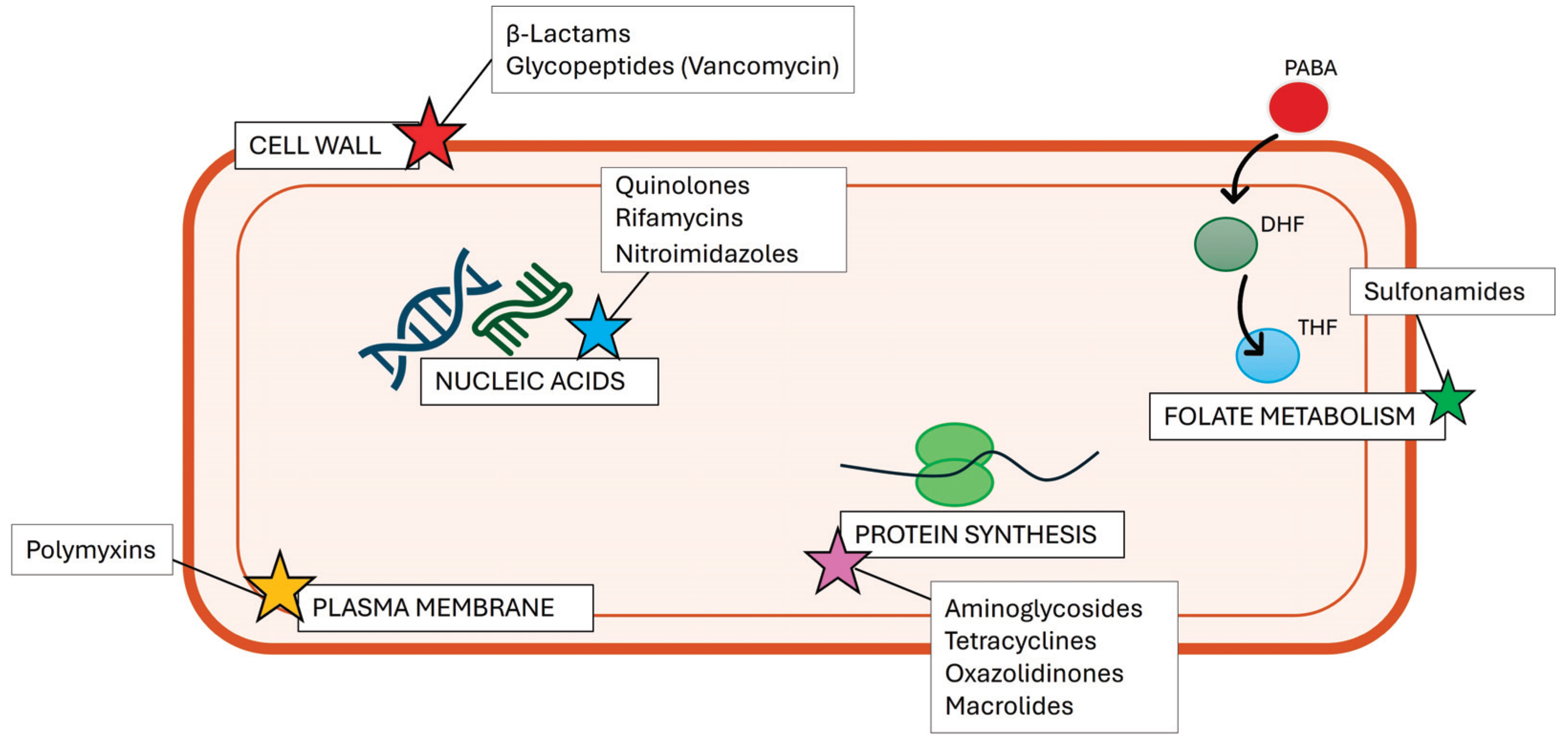 Antibiotics 13 01071 g001 Antibiotics 13 01071 g001