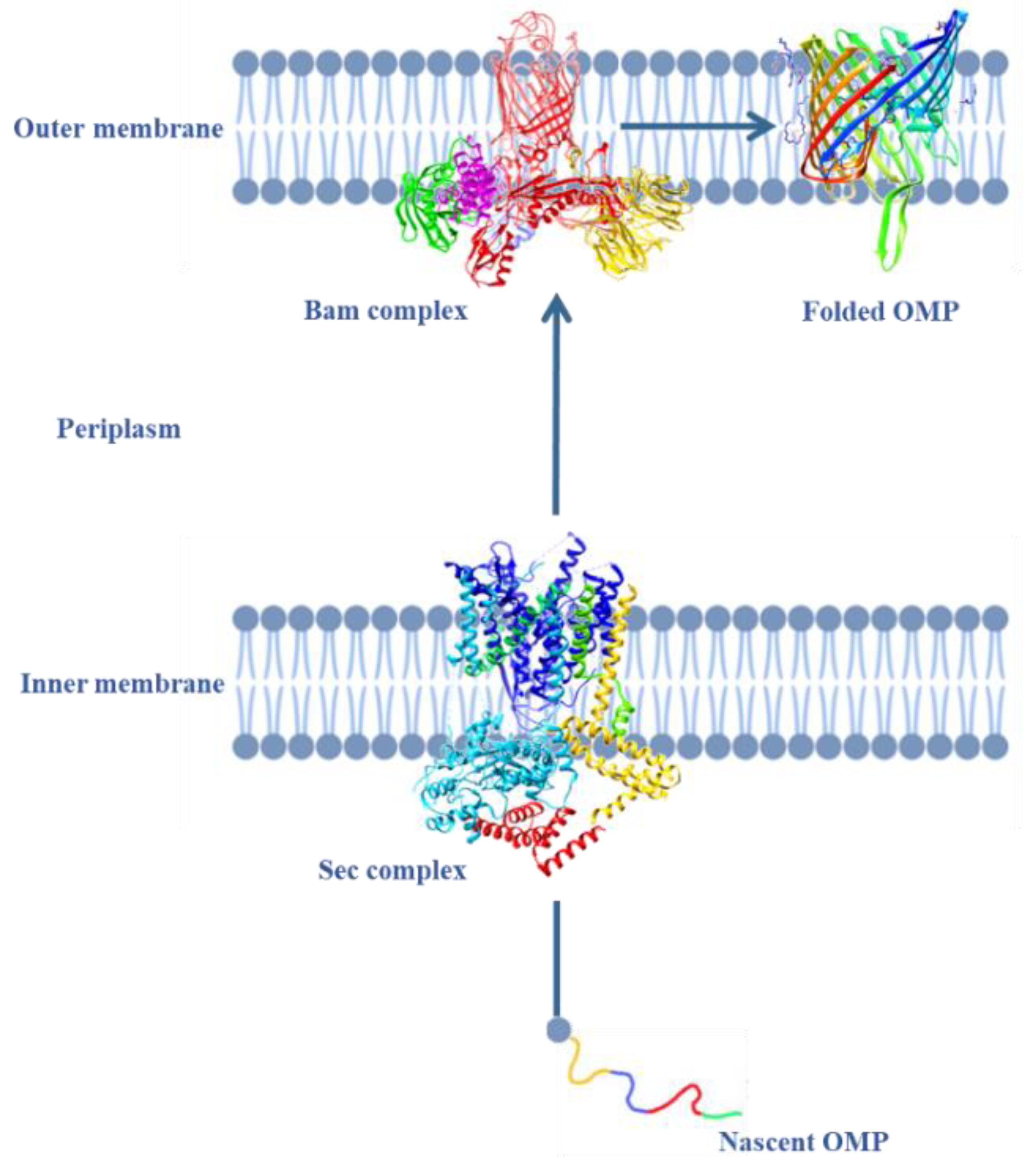 Antibiotics 13 01076 g004