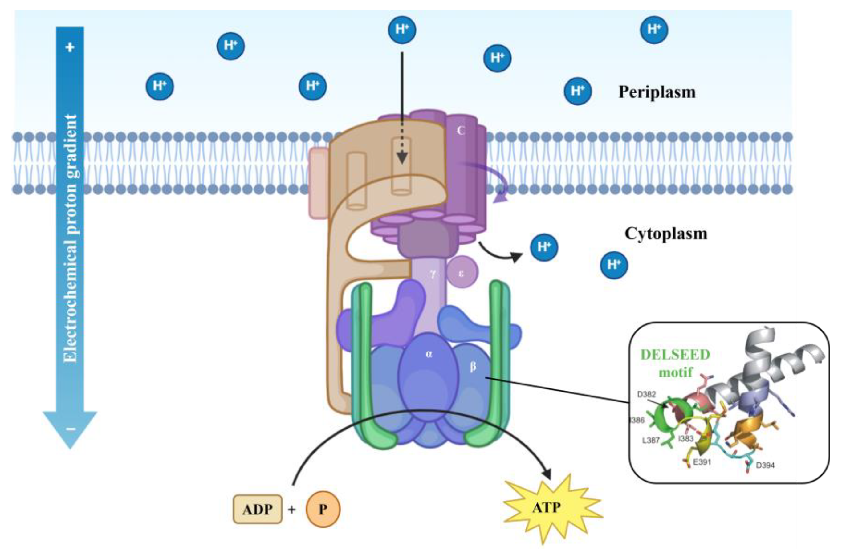 Antibiotics 13 01076 g006