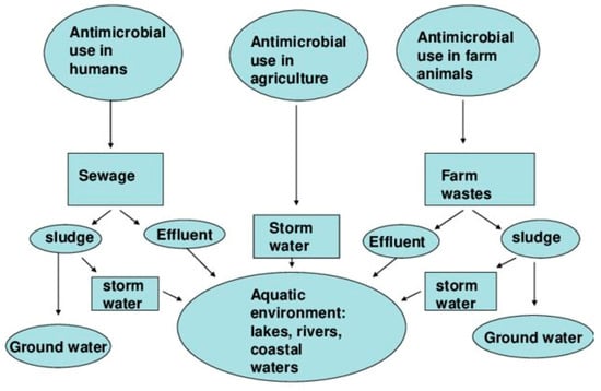 Antibiotics 13 01087 g001