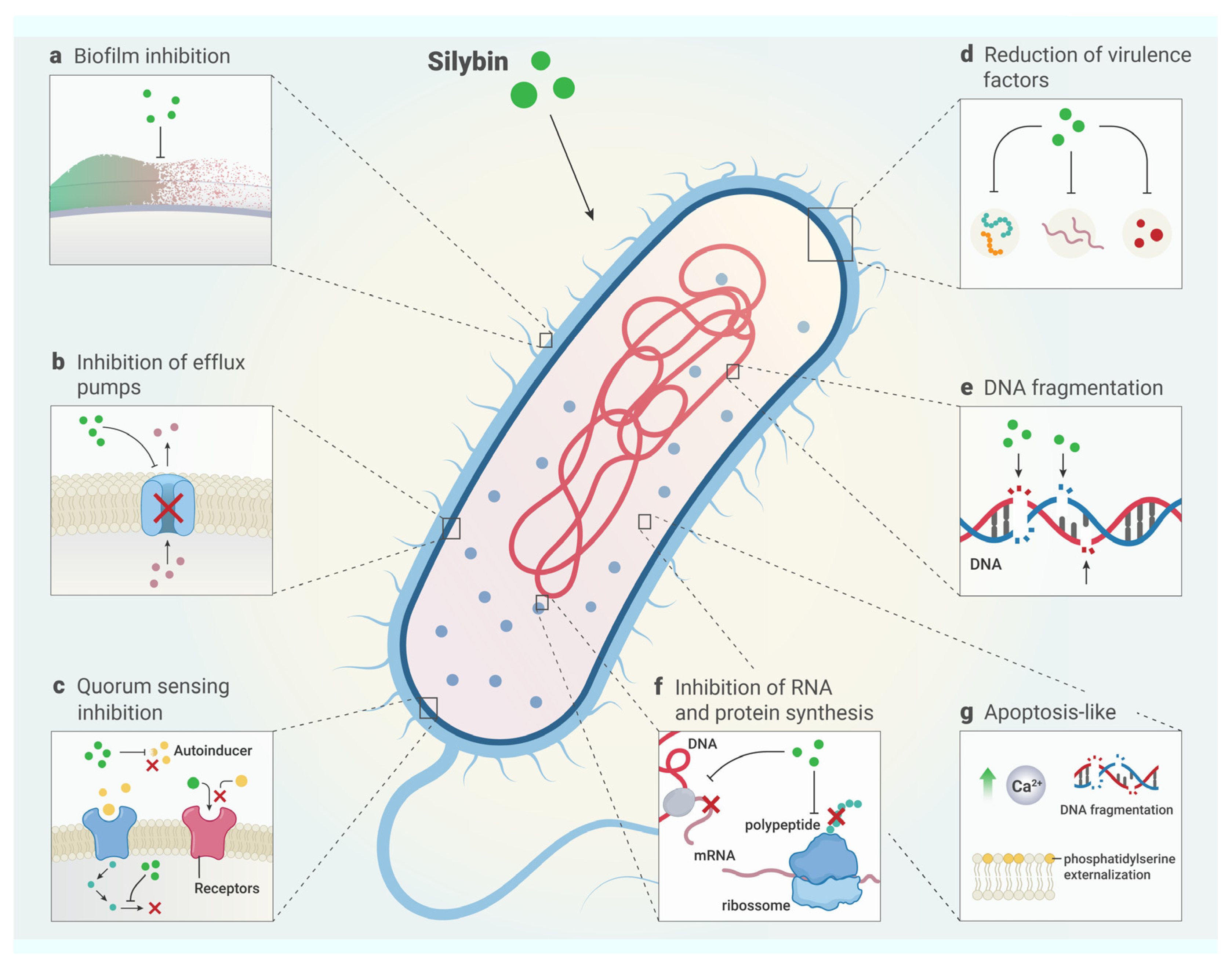 Antibiotics 13 01091 g002
