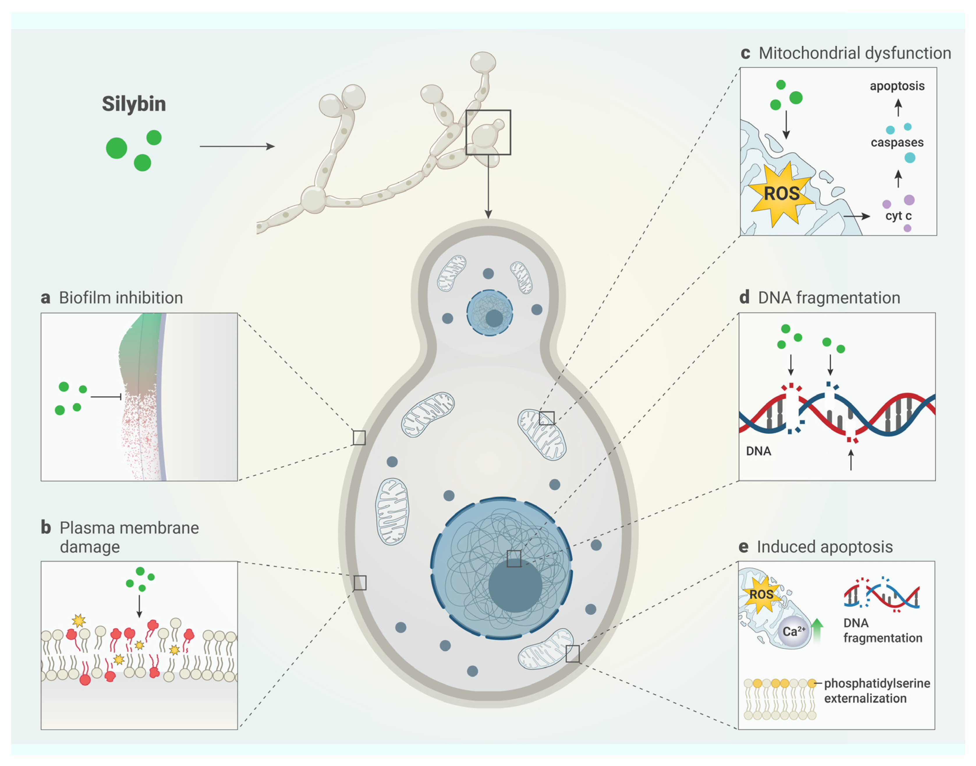 Antibiotics 13 01091 g003
