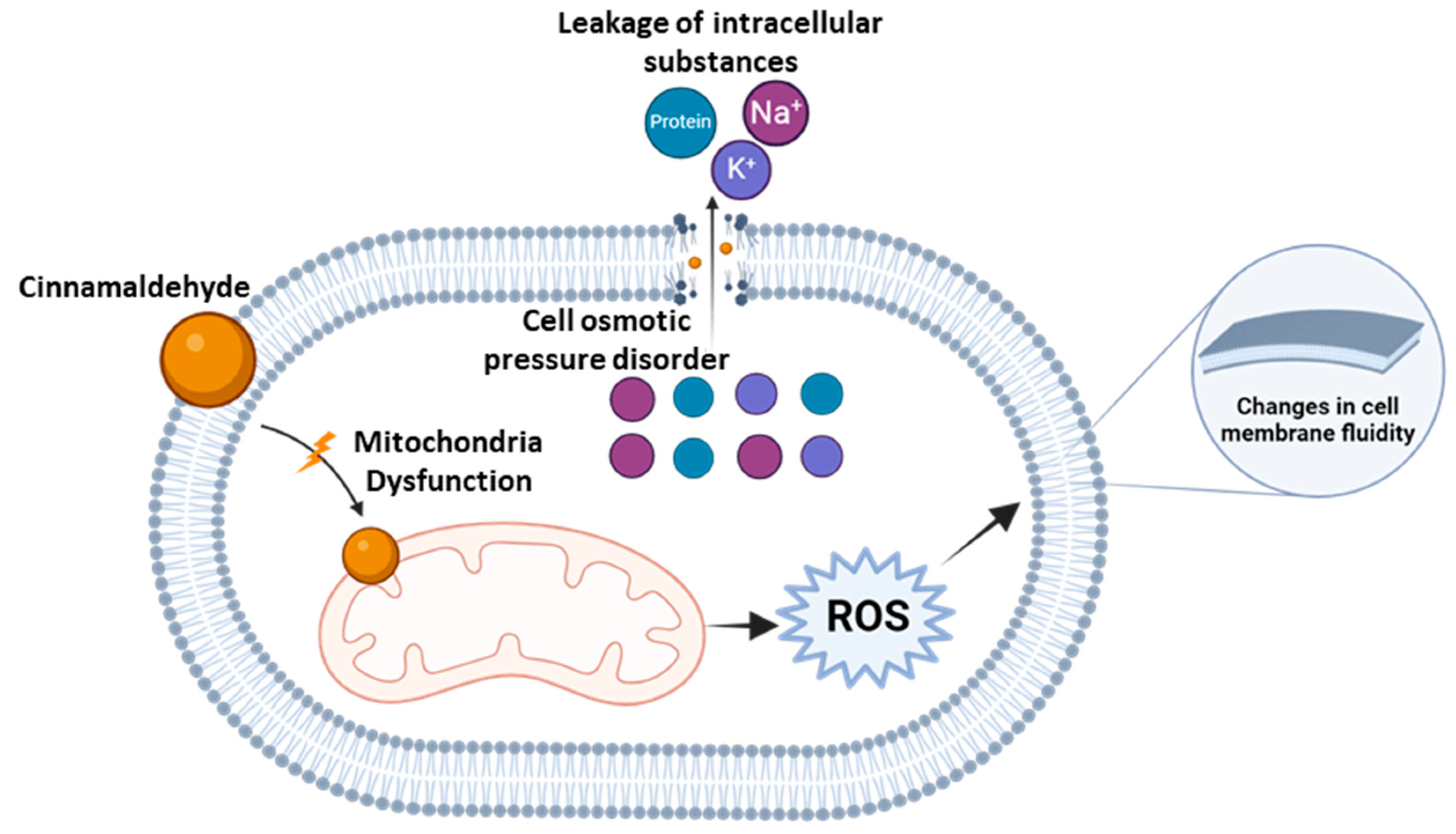 Antibiotics 13 01095 g003