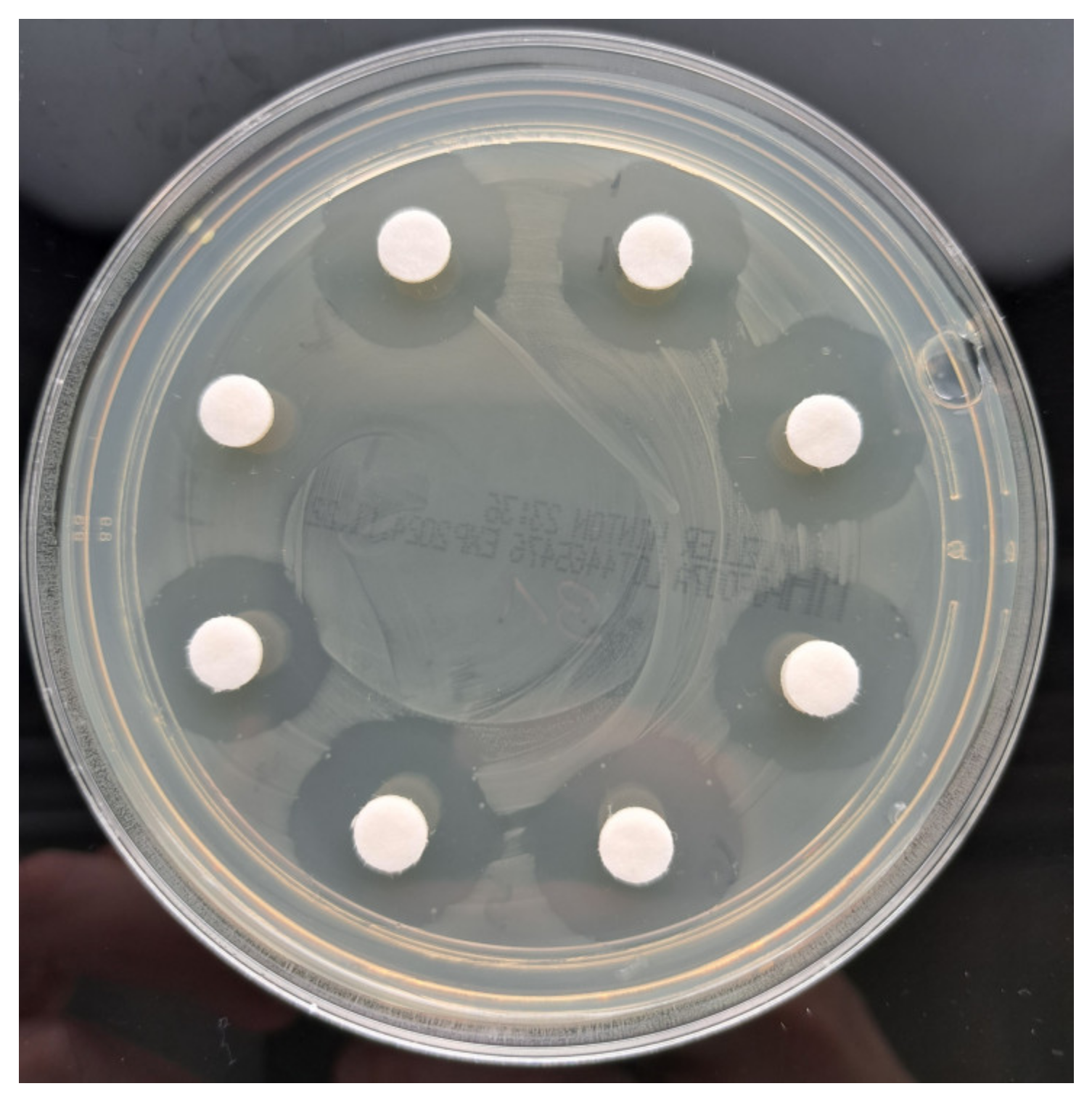 Antibiotics 13 01102 g011 Antibiotics 13 01102 g011