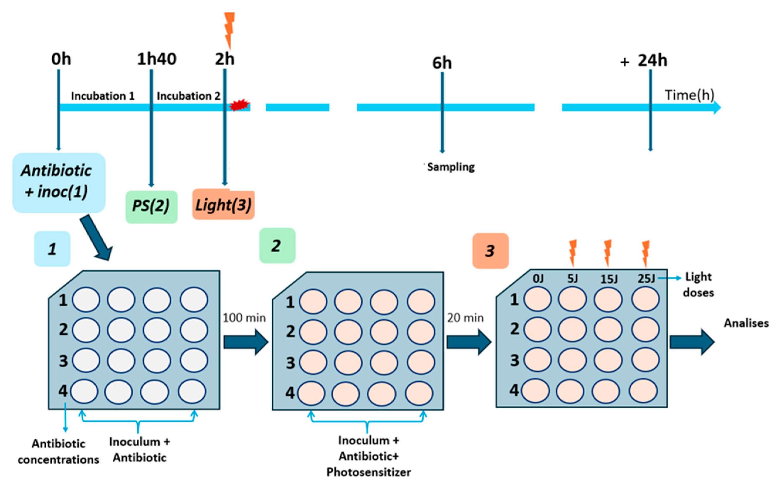 Antibiotics 13 01111 g007 Antibiotics 13 01111 g007