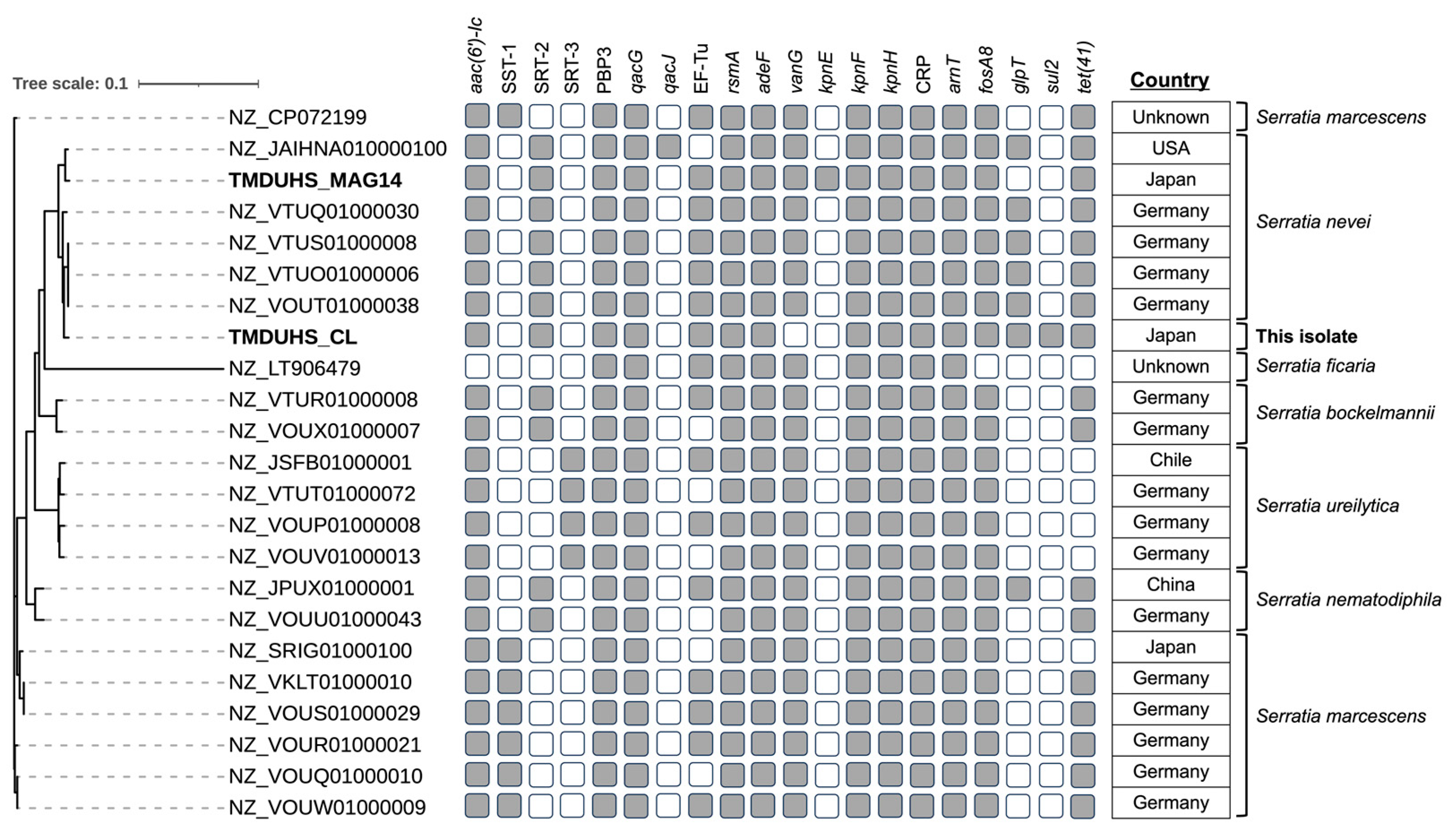 Antibiotics 13 01122 g006