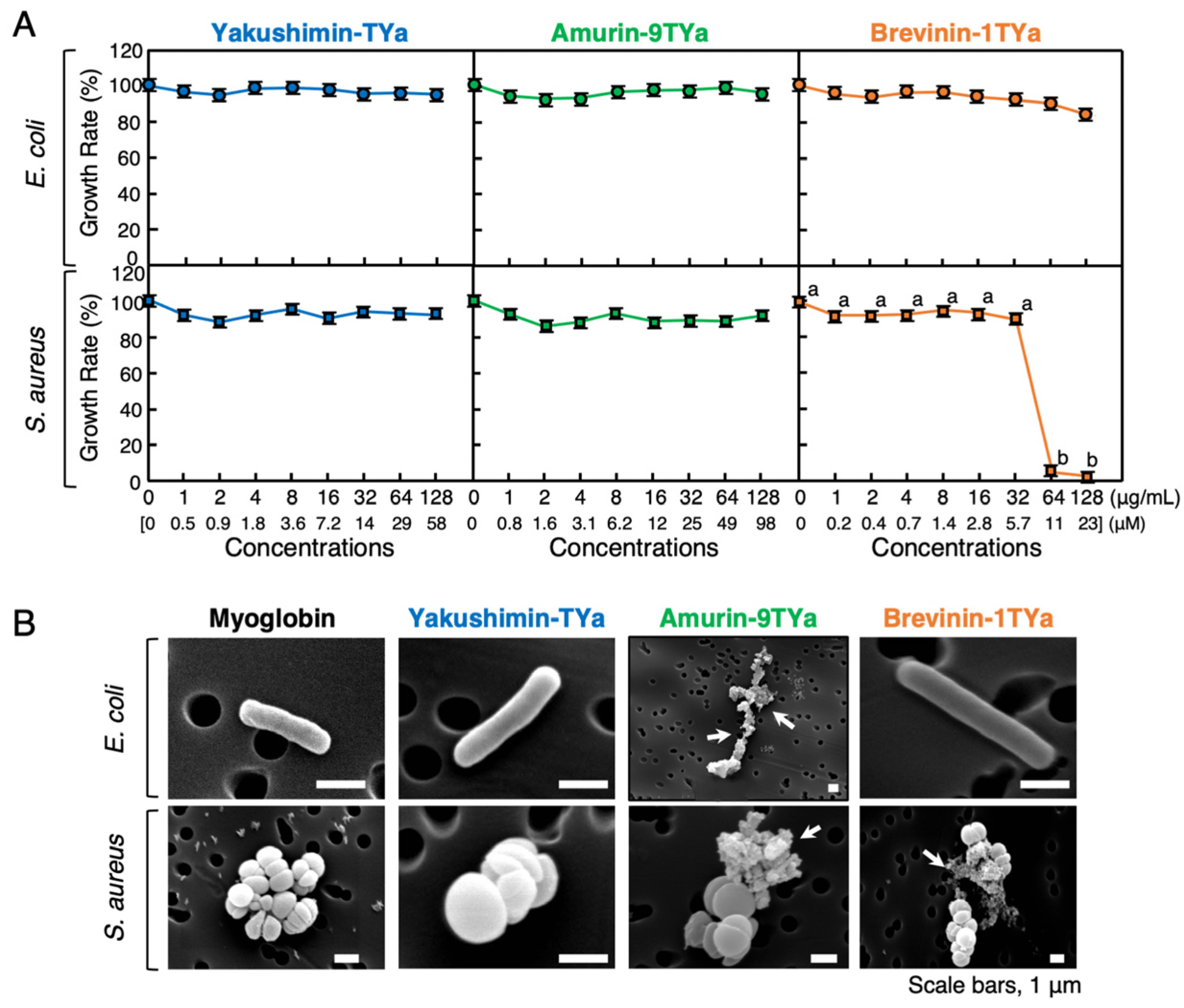 Antibiotics 13 01127 g003