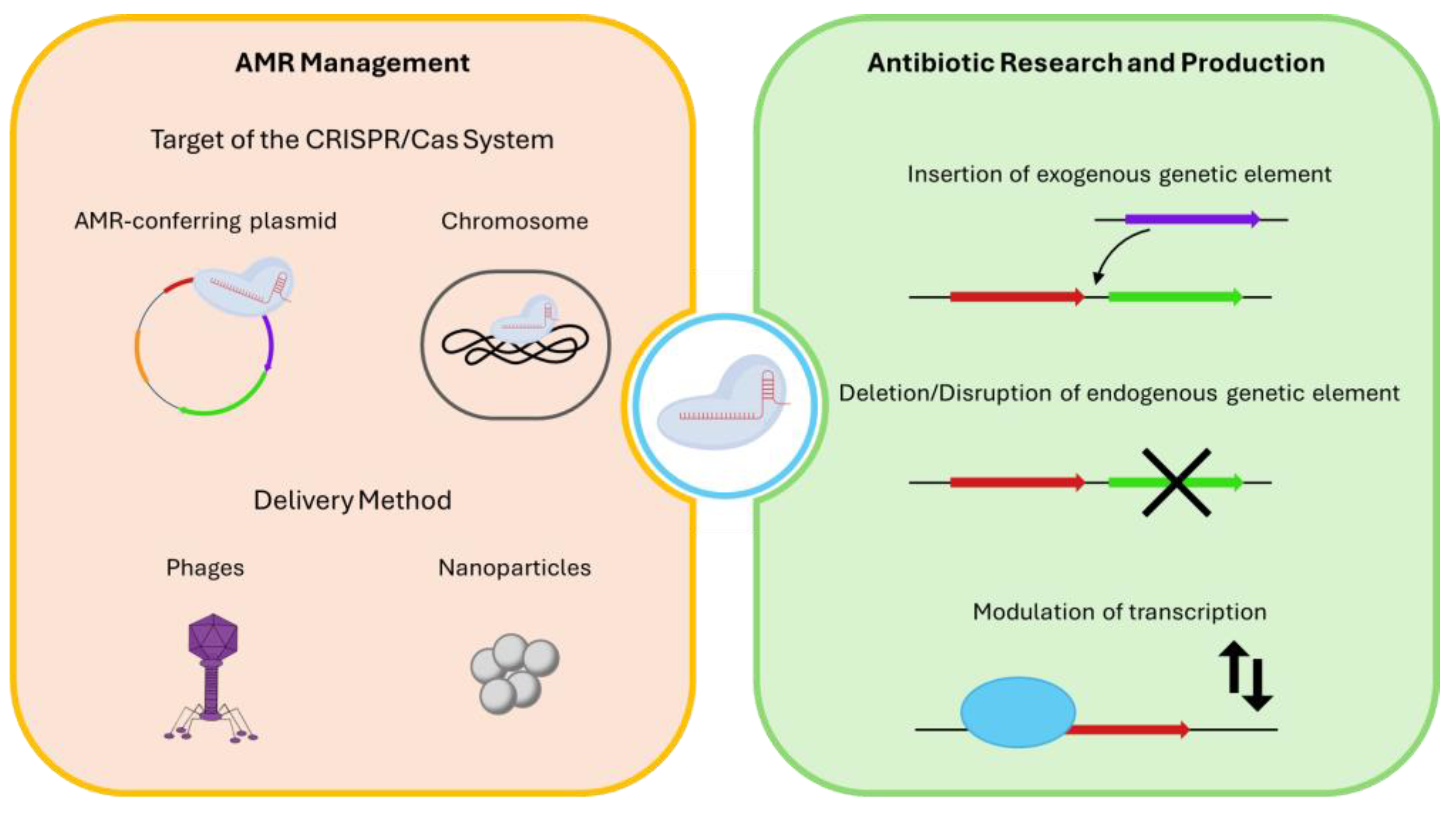 Antibiotics 13 01141 g002 Antibiotics 13 01141 g002