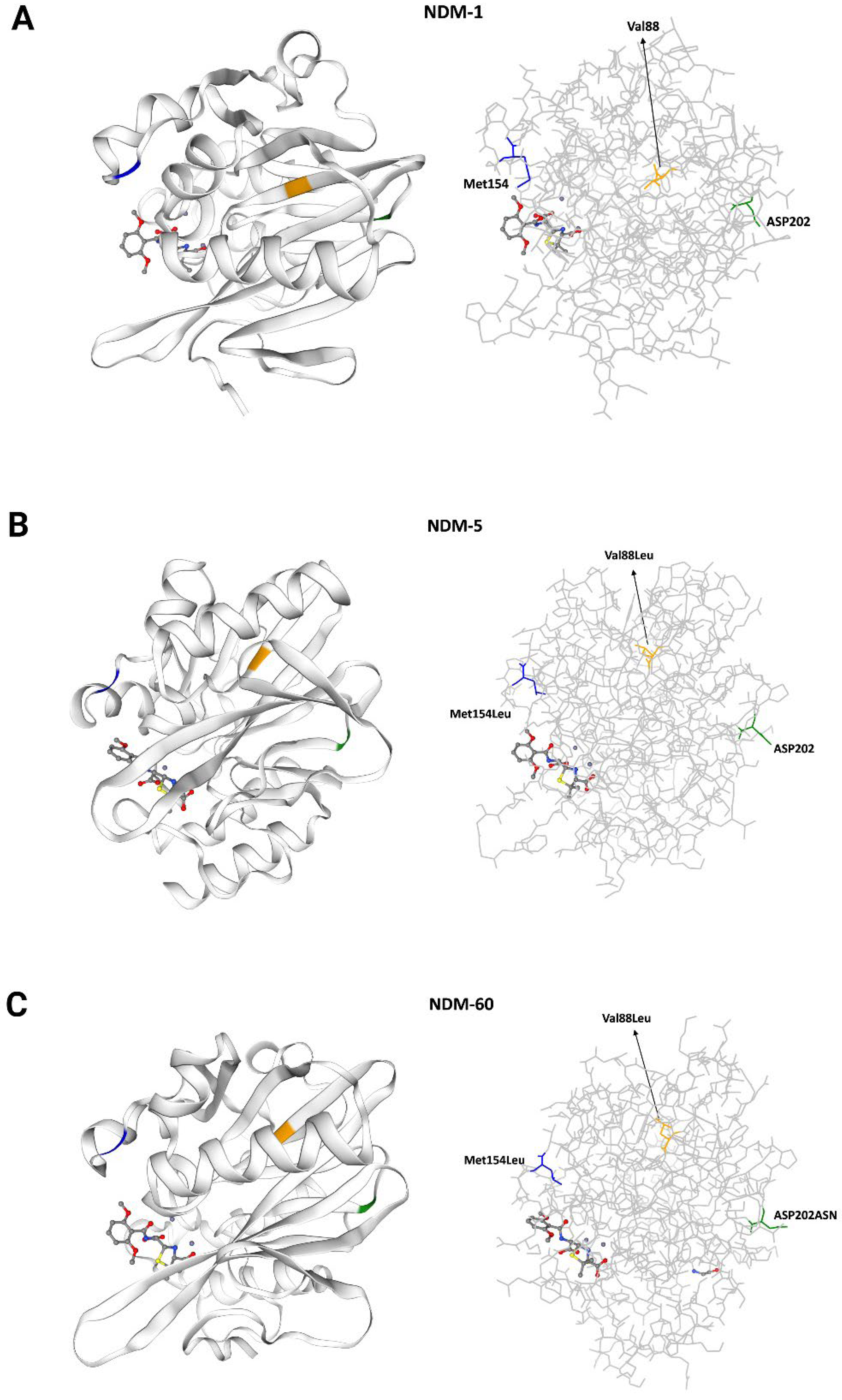 Antibiotics 13 01158 g002
