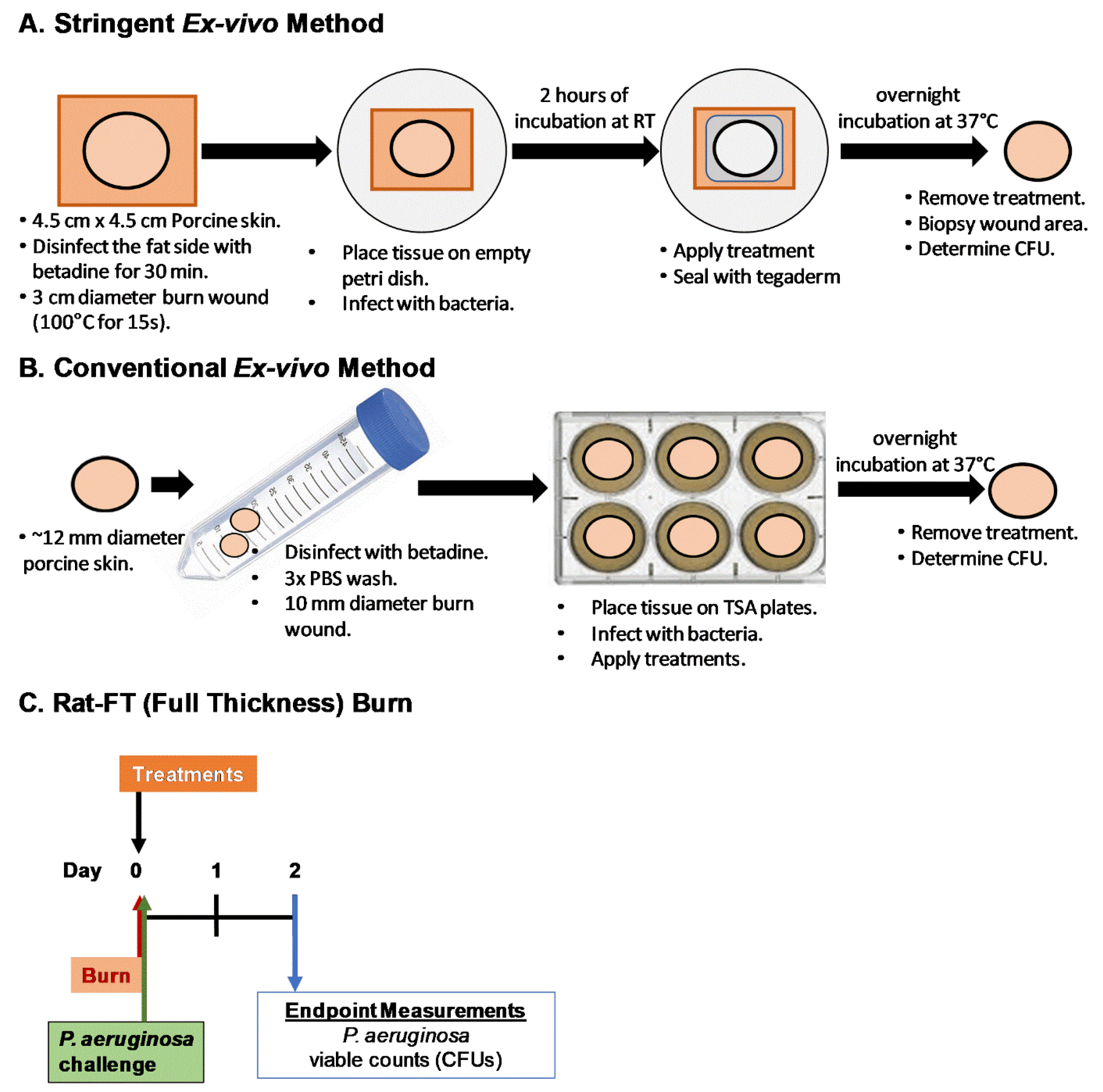 Antibiotics 13 01159 g006