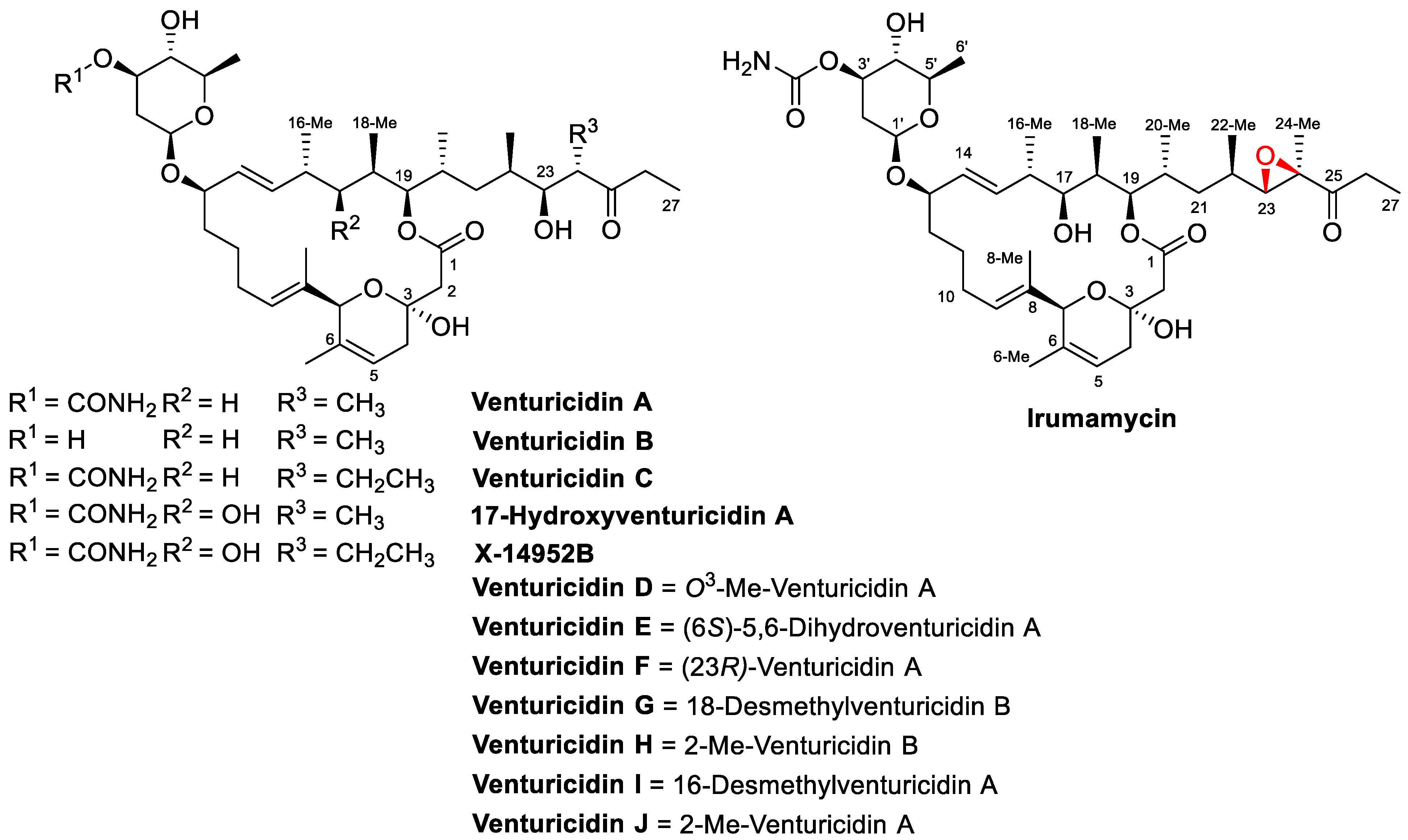Antibiotics 13 01167 g001