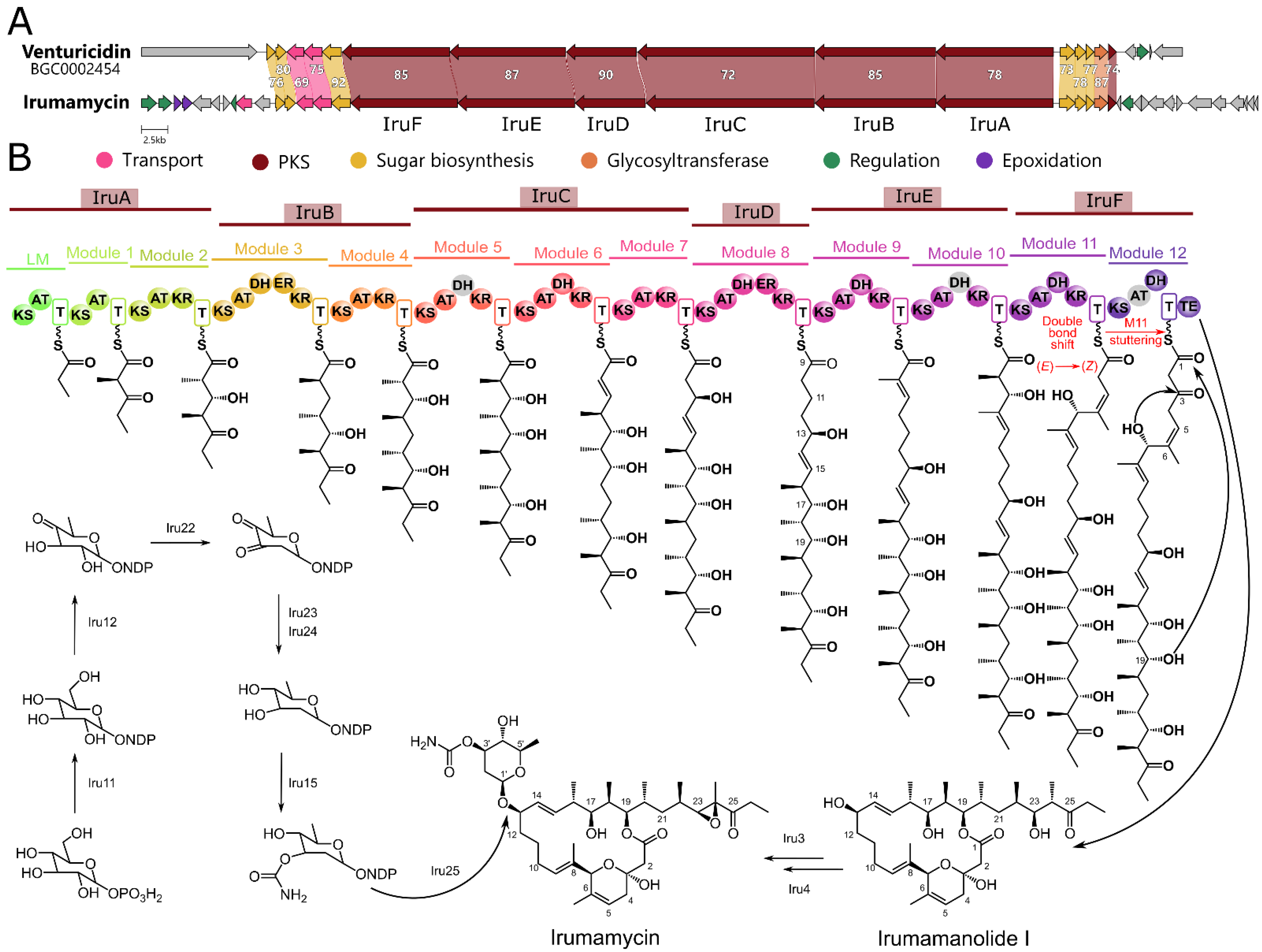 Antibiotics 13 01167 g002