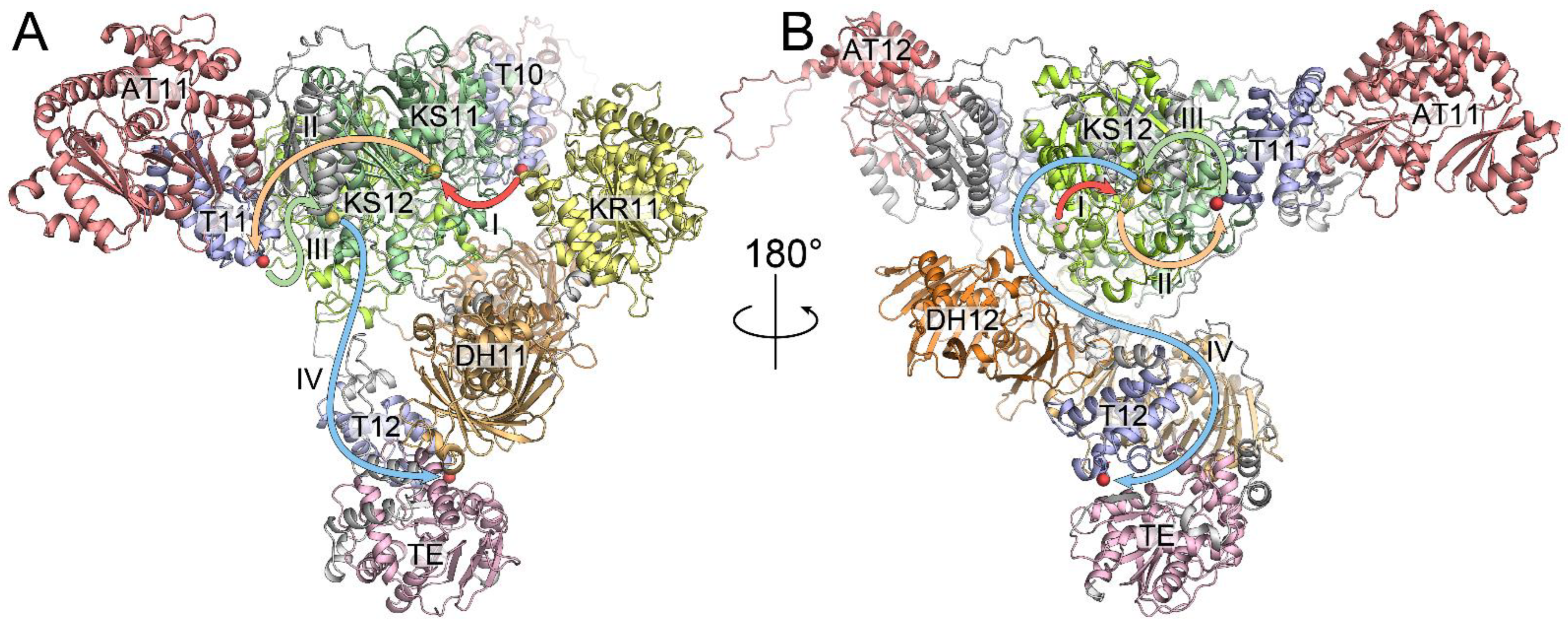 Antibiotics 13 01167 g003