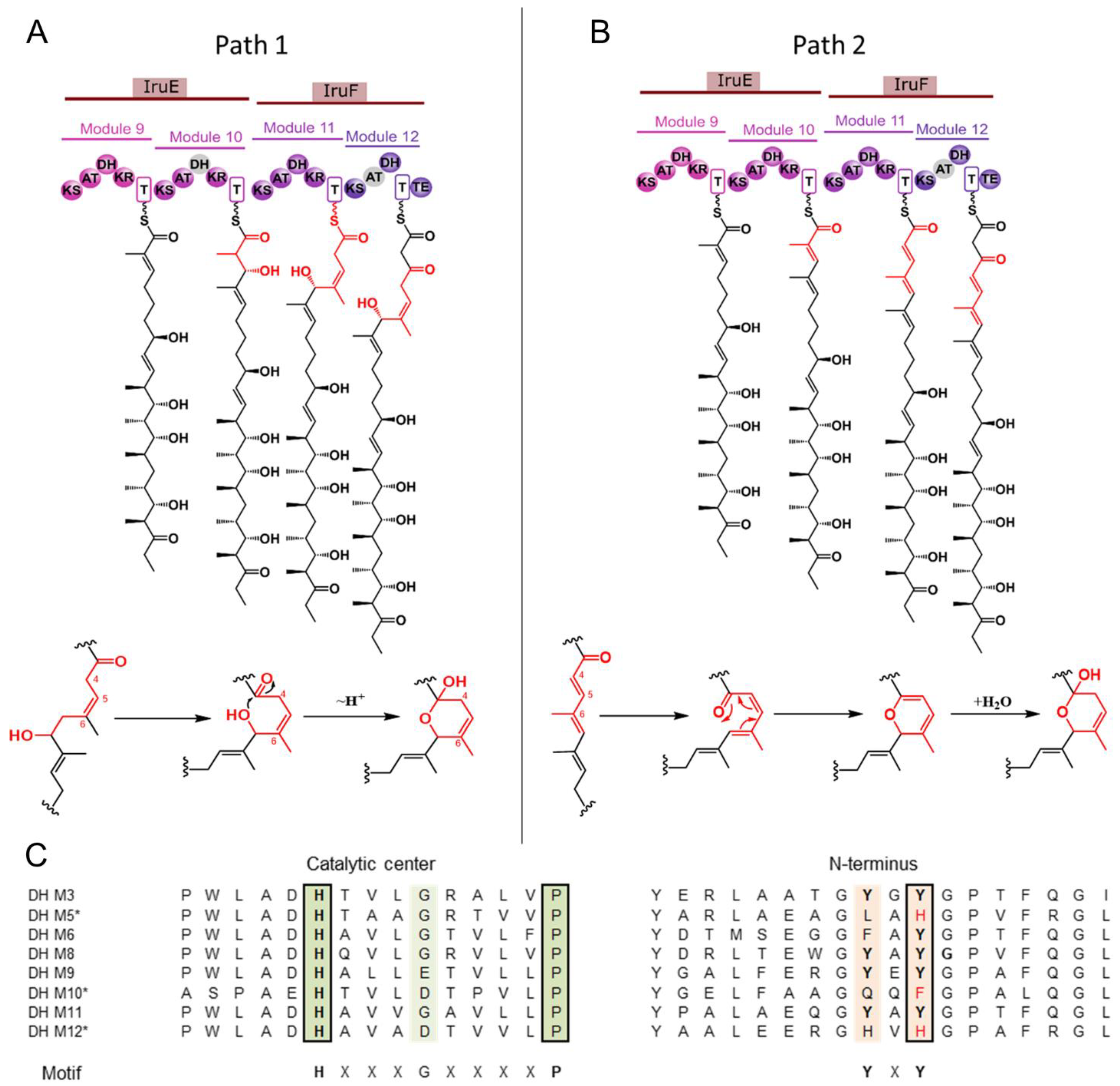Antibiotics 13 01167 g005