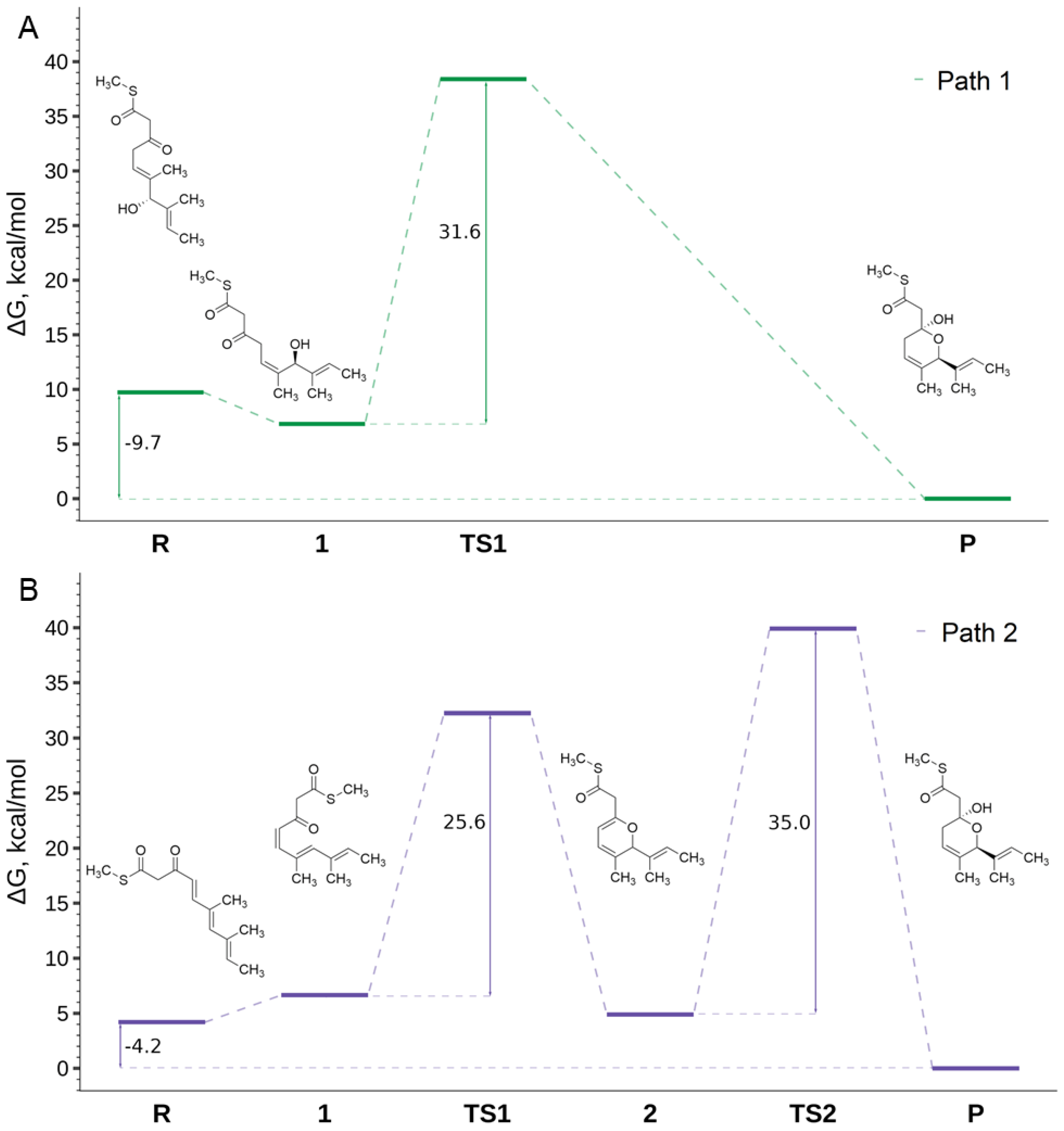 Antibiotics 13 01167 g006