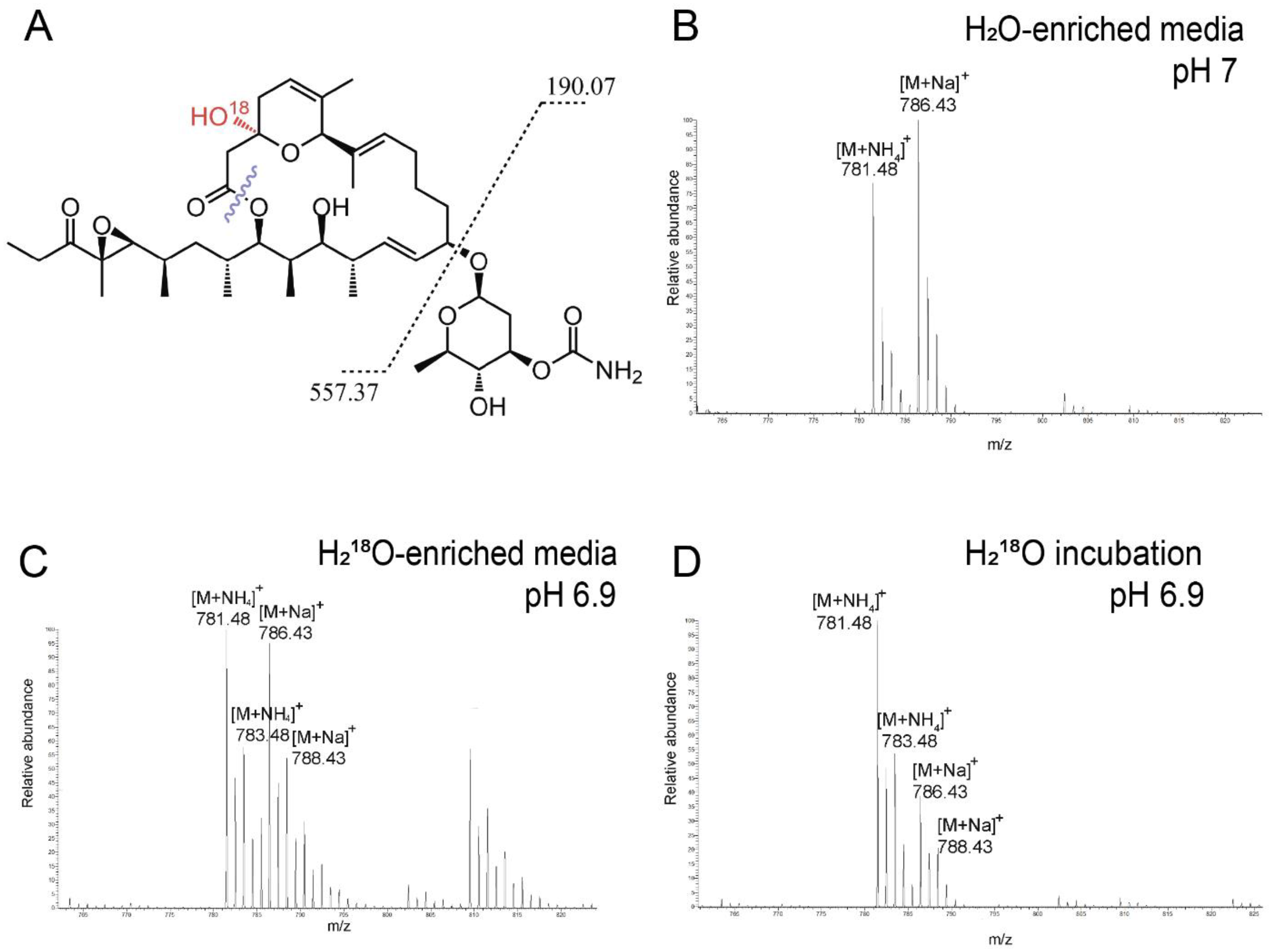 Antibiotics 13 01167 g007