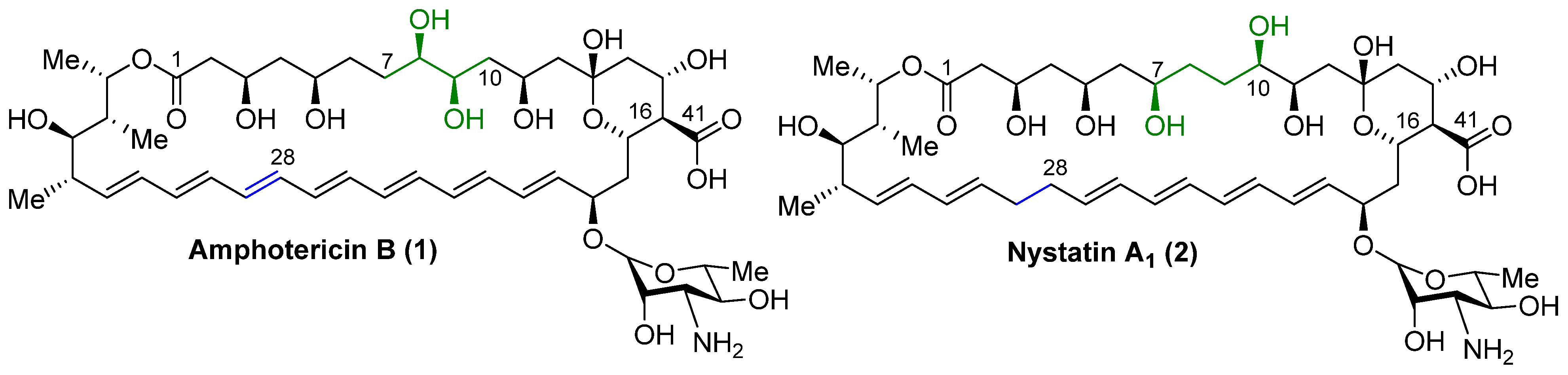 Antibiotics 13 01177 g001 Antibiotics 13 01177 g001