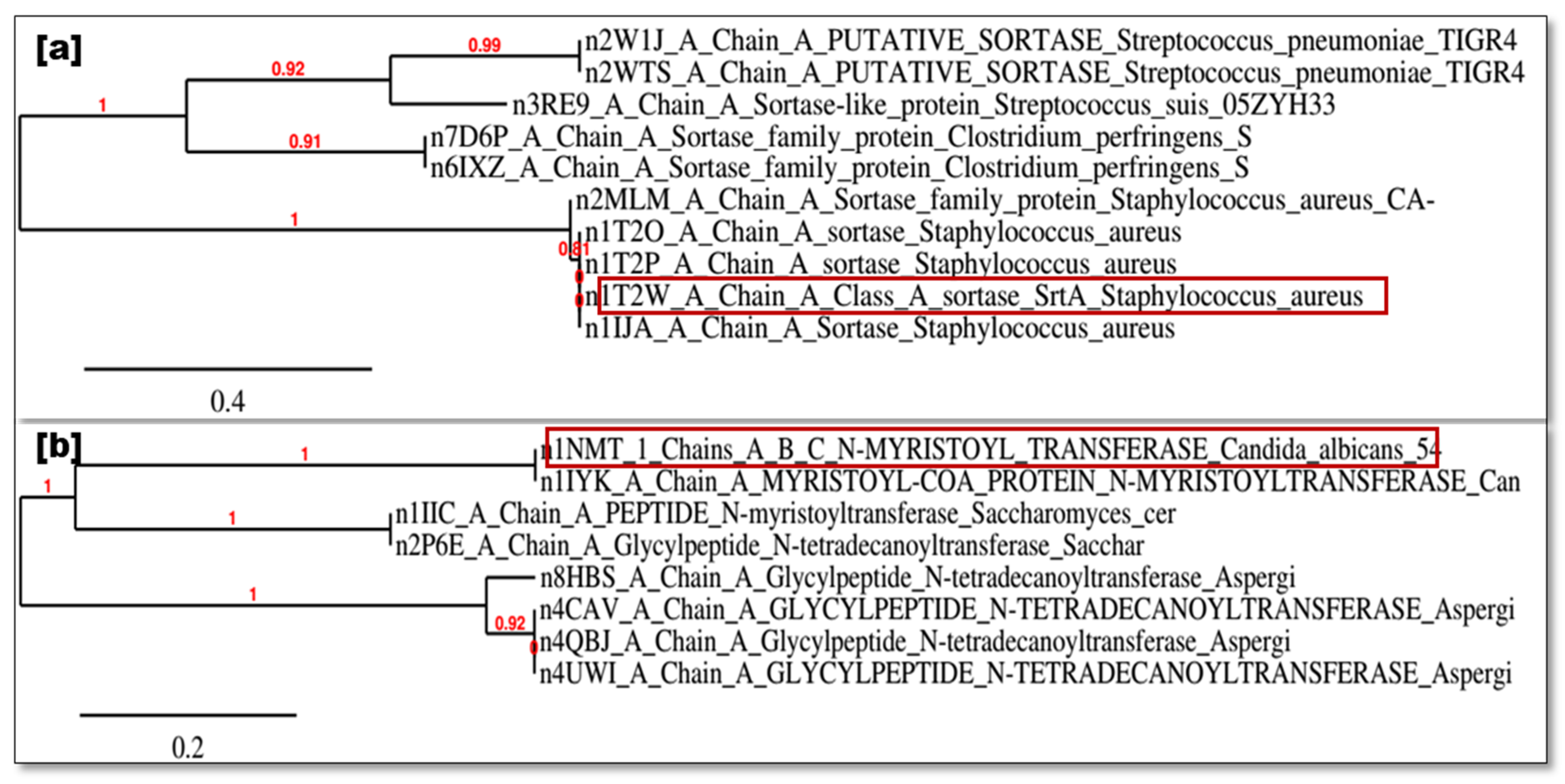Antibiotics 13 01193 g012
