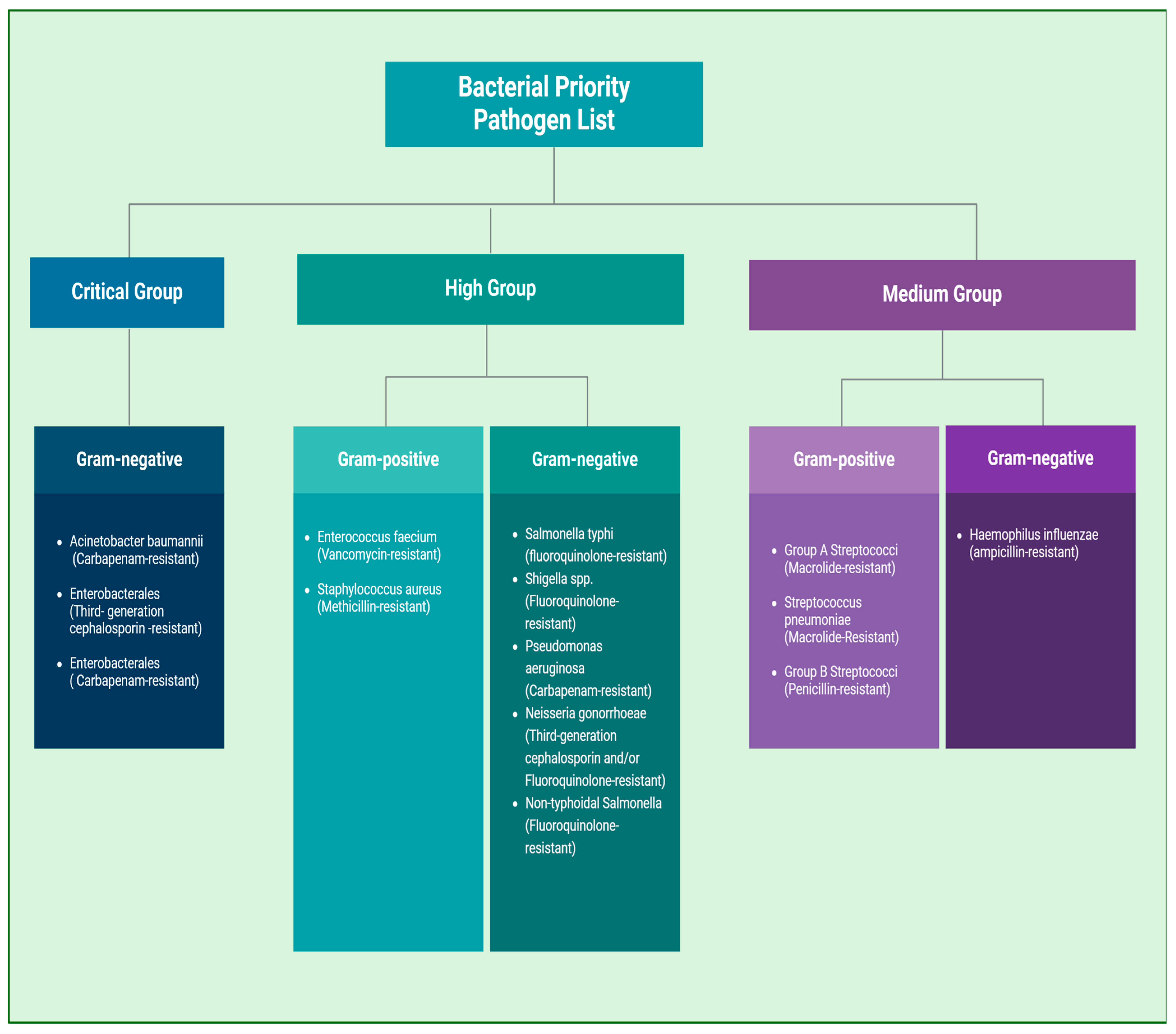 Antibiotics 13 01197 g001