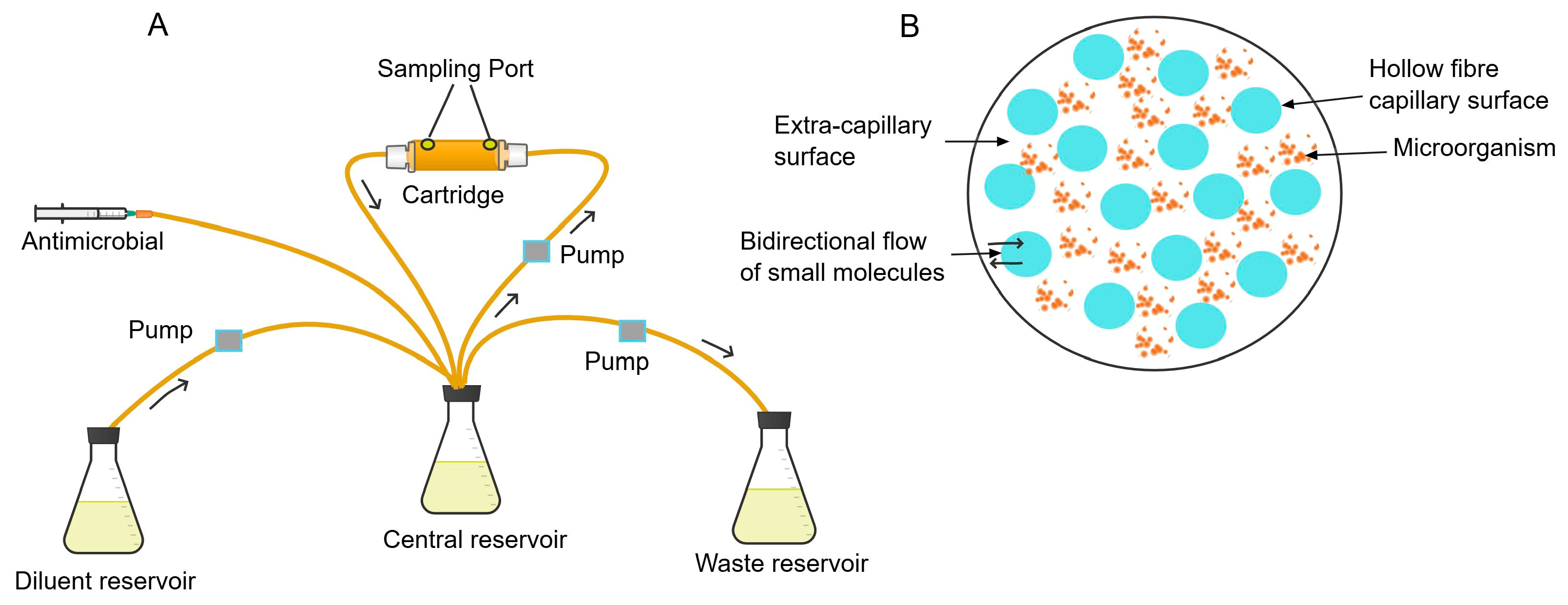 Antibiotics 13 01201 g003 Antibiotics 13 01201 g003