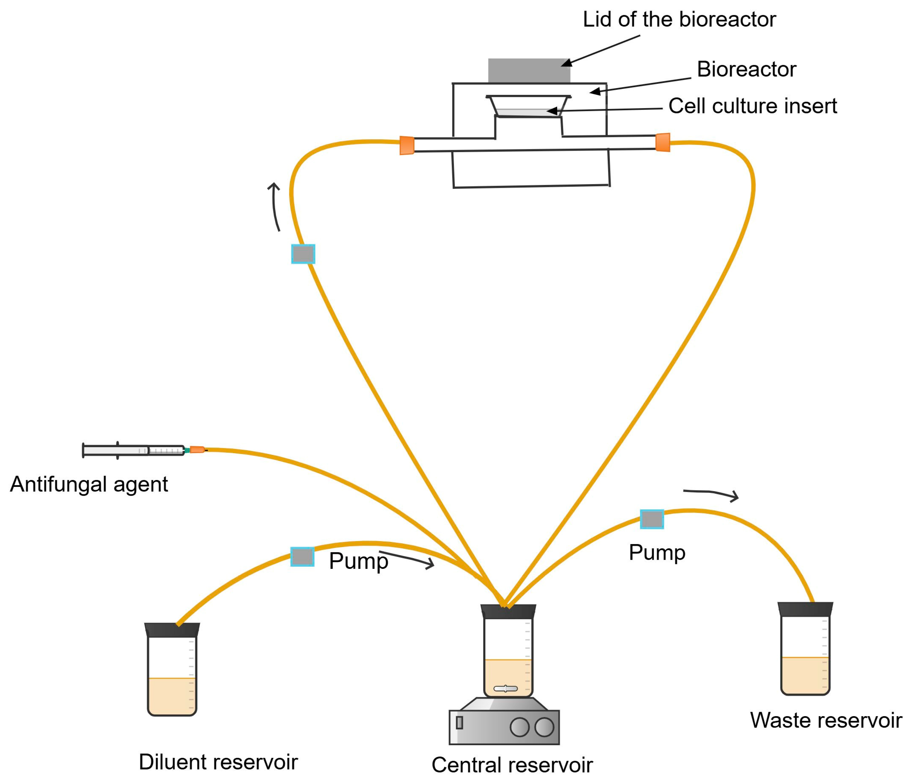 Antibiotics 13 01201 g007 Antibiotics 13 01201 g007
