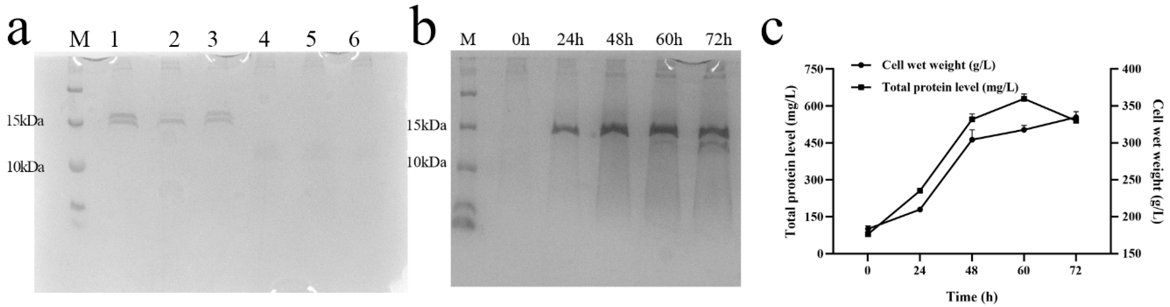 Antibiotics 13 01207 g002