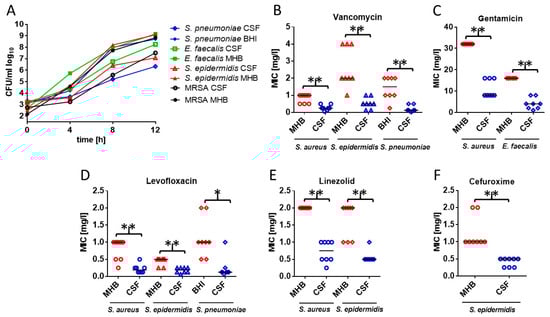 Antibiotics 13 01215 g001