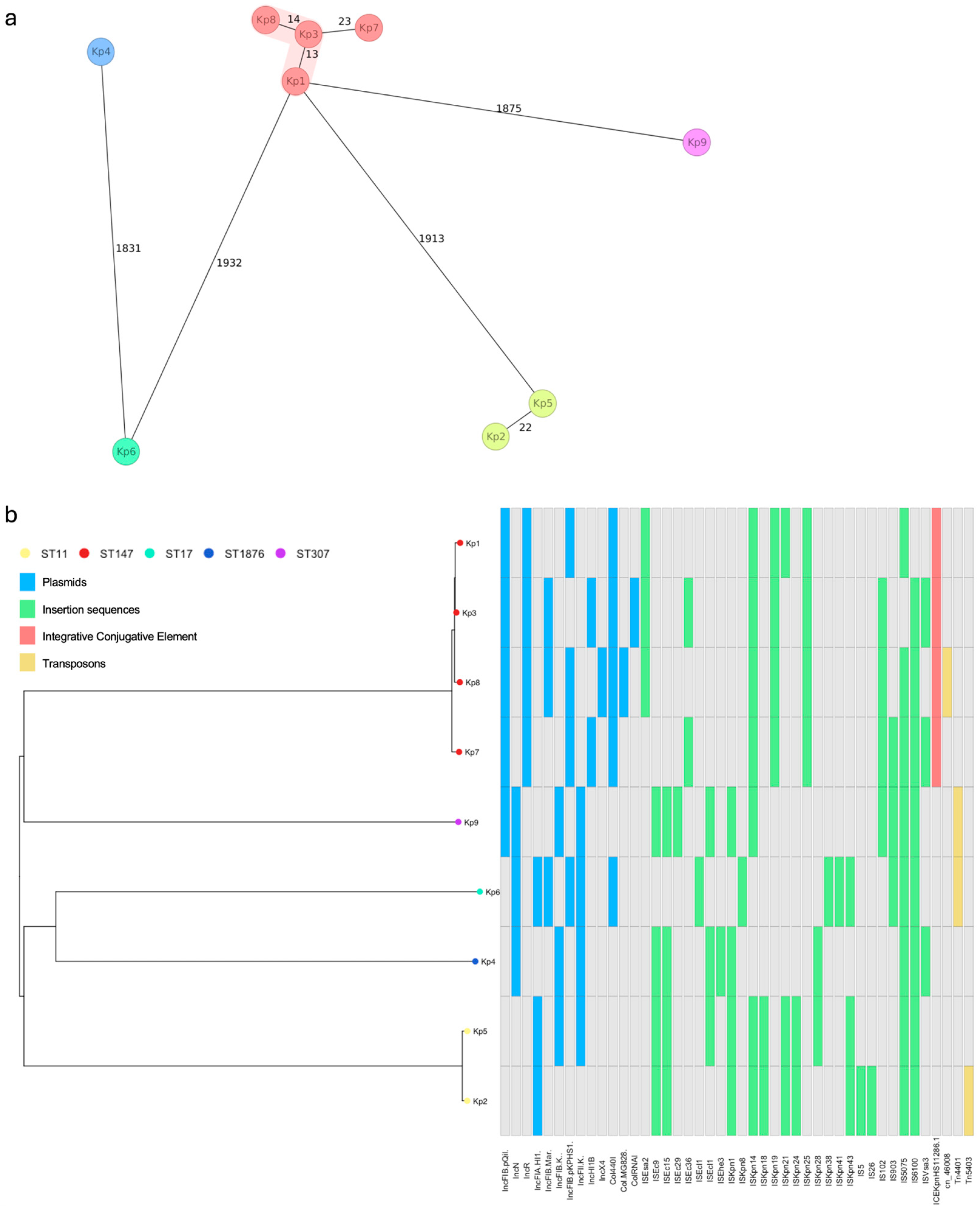 Antibiotics 13 01221 g002