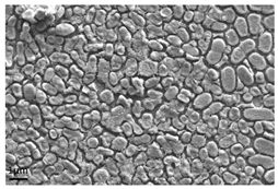 Antibiotics 13 01227 i003