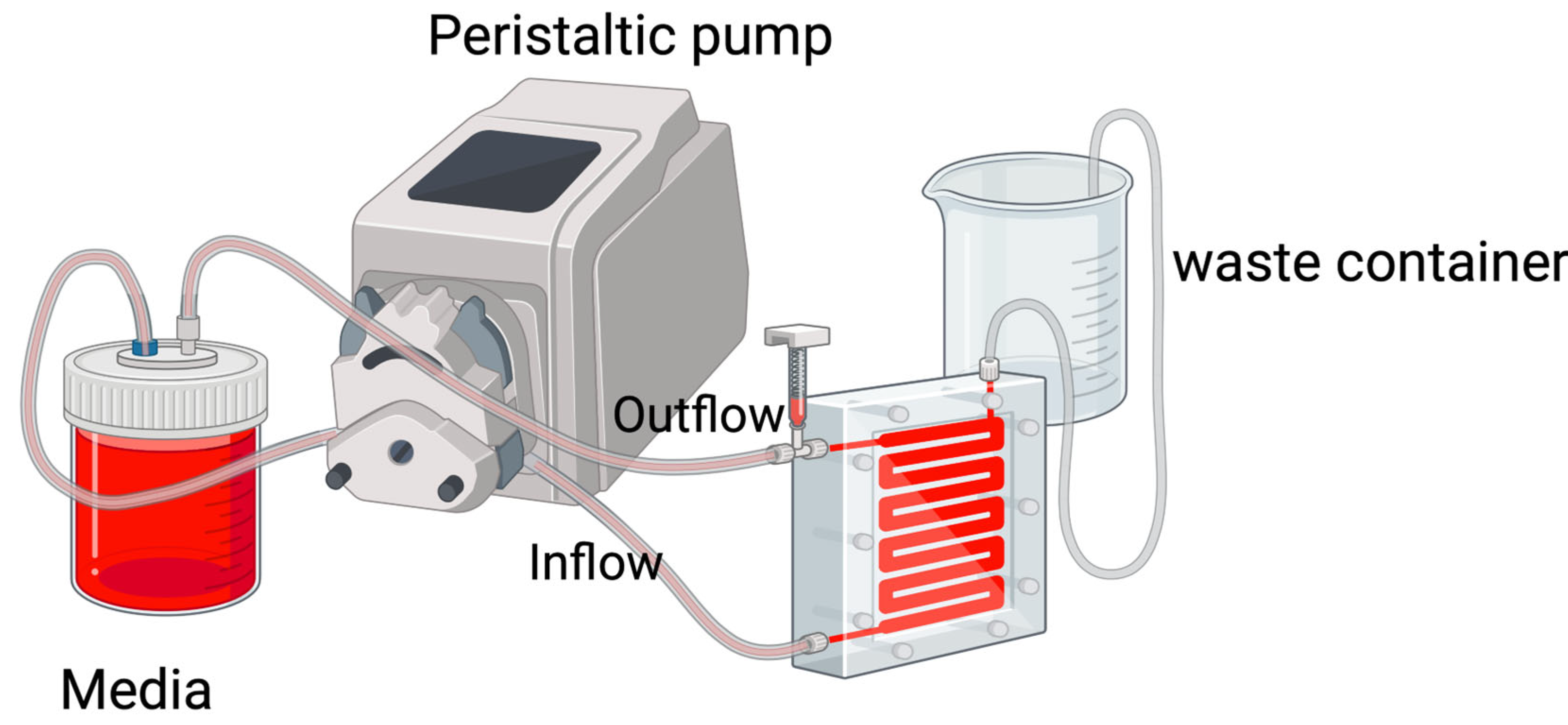 Antibiotics 13 01228 g002