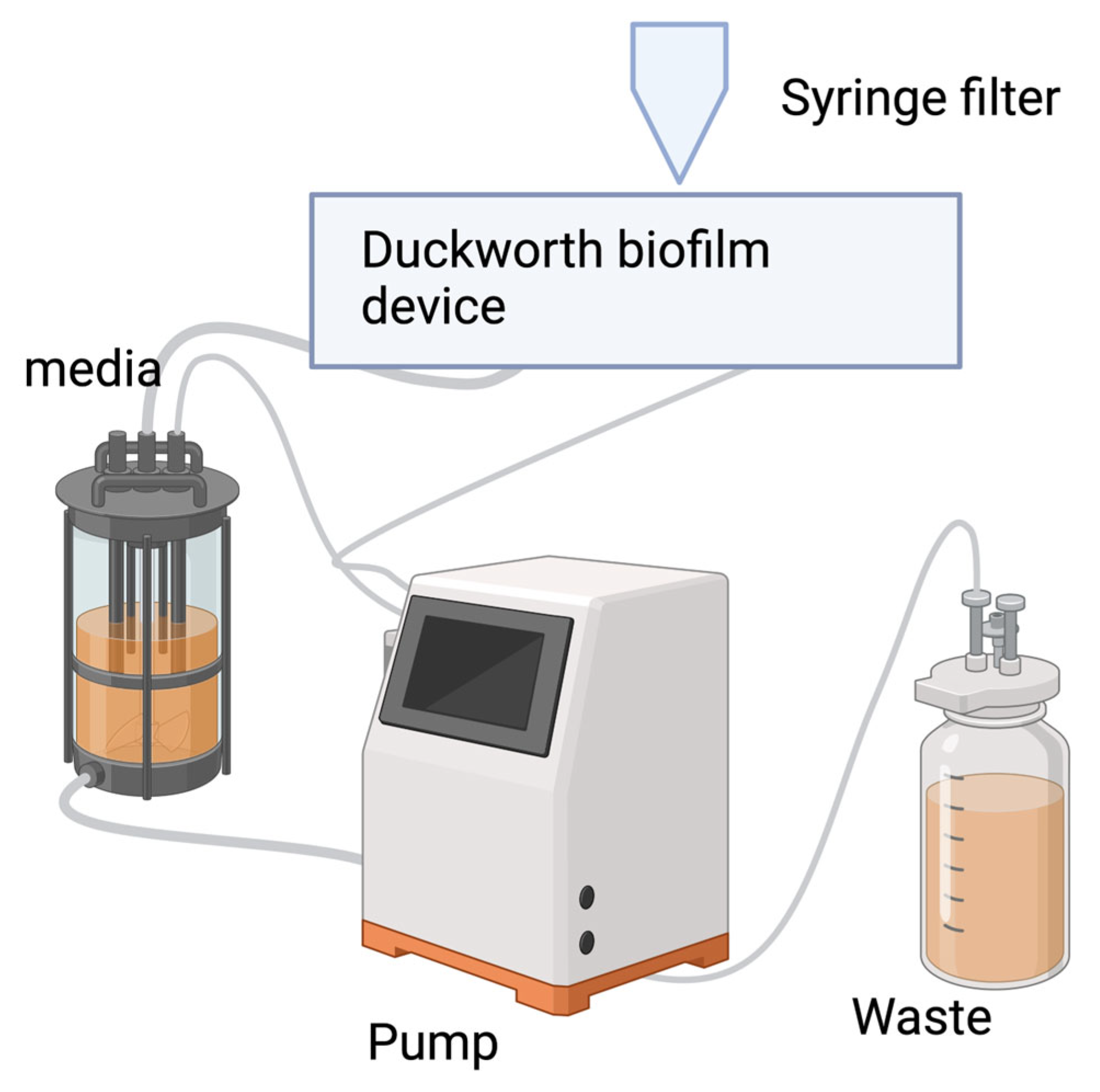 Antibiotics 13 01228 g004
