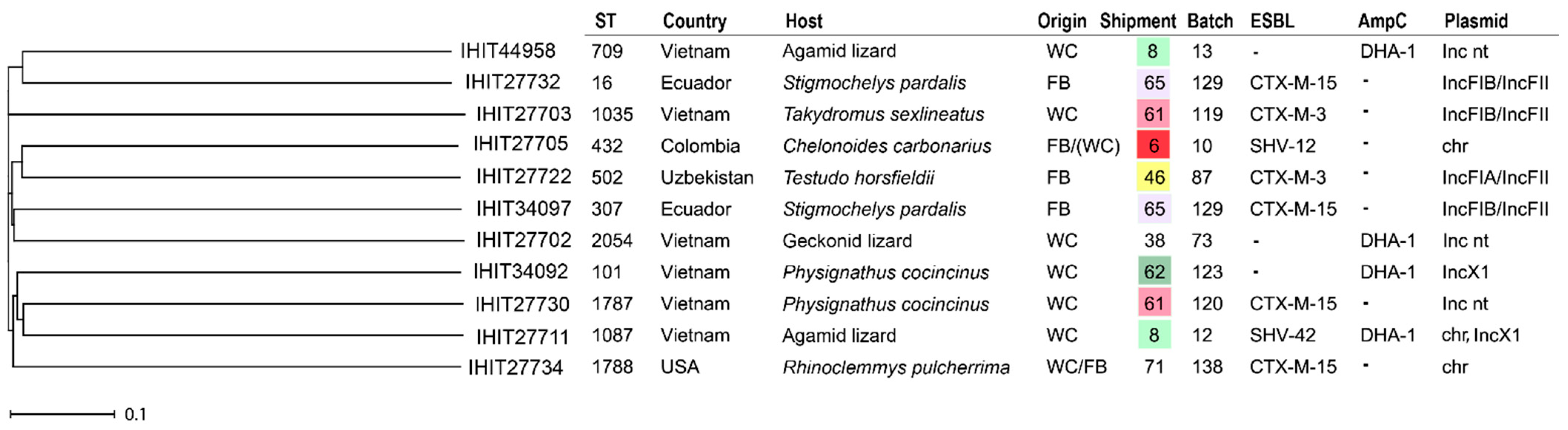 Antibiotics 13 01230 g002