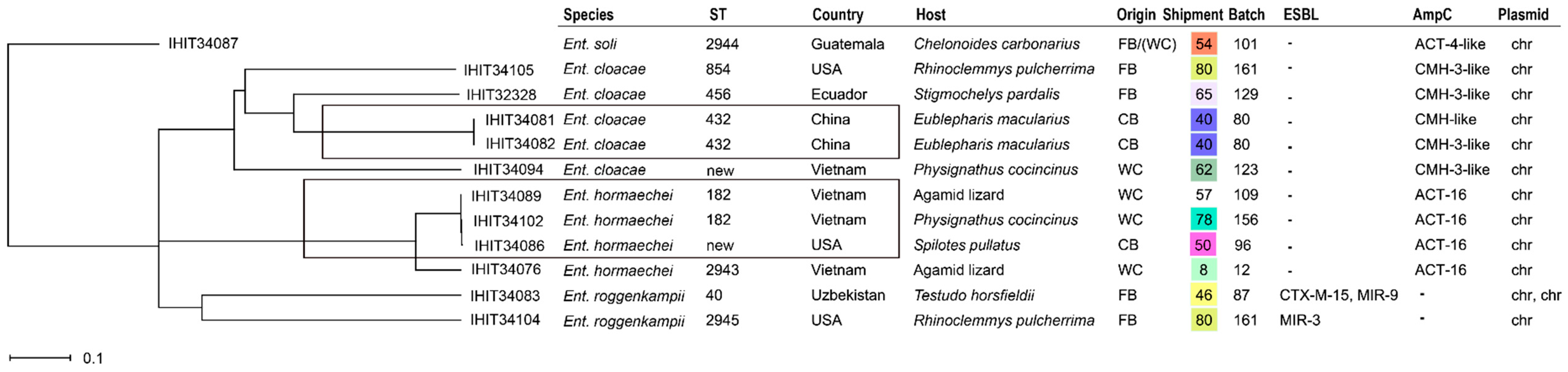 Antibiotics 13 01230 g003