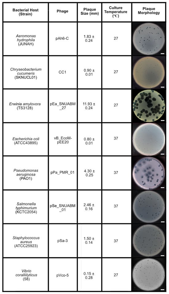 Antibiotics 14 00002 g001
