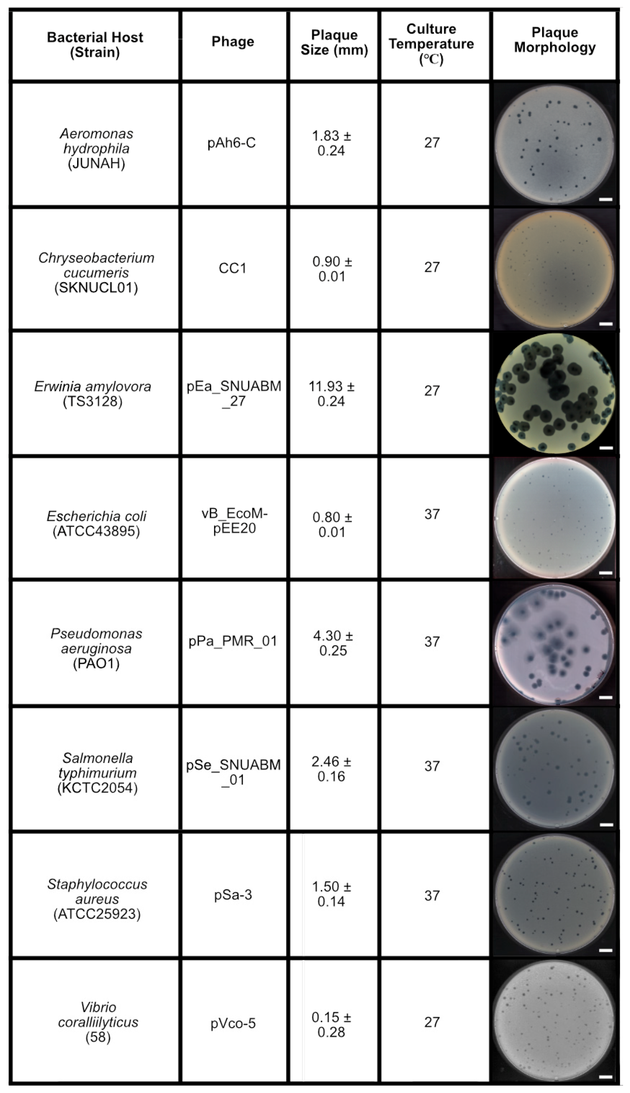 Antibiotics 14 00002 g001 Antibiotics 14 00002 g001